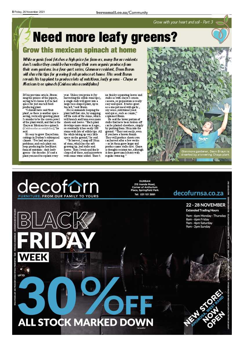 Berea Mail 26 November 2021 page 8