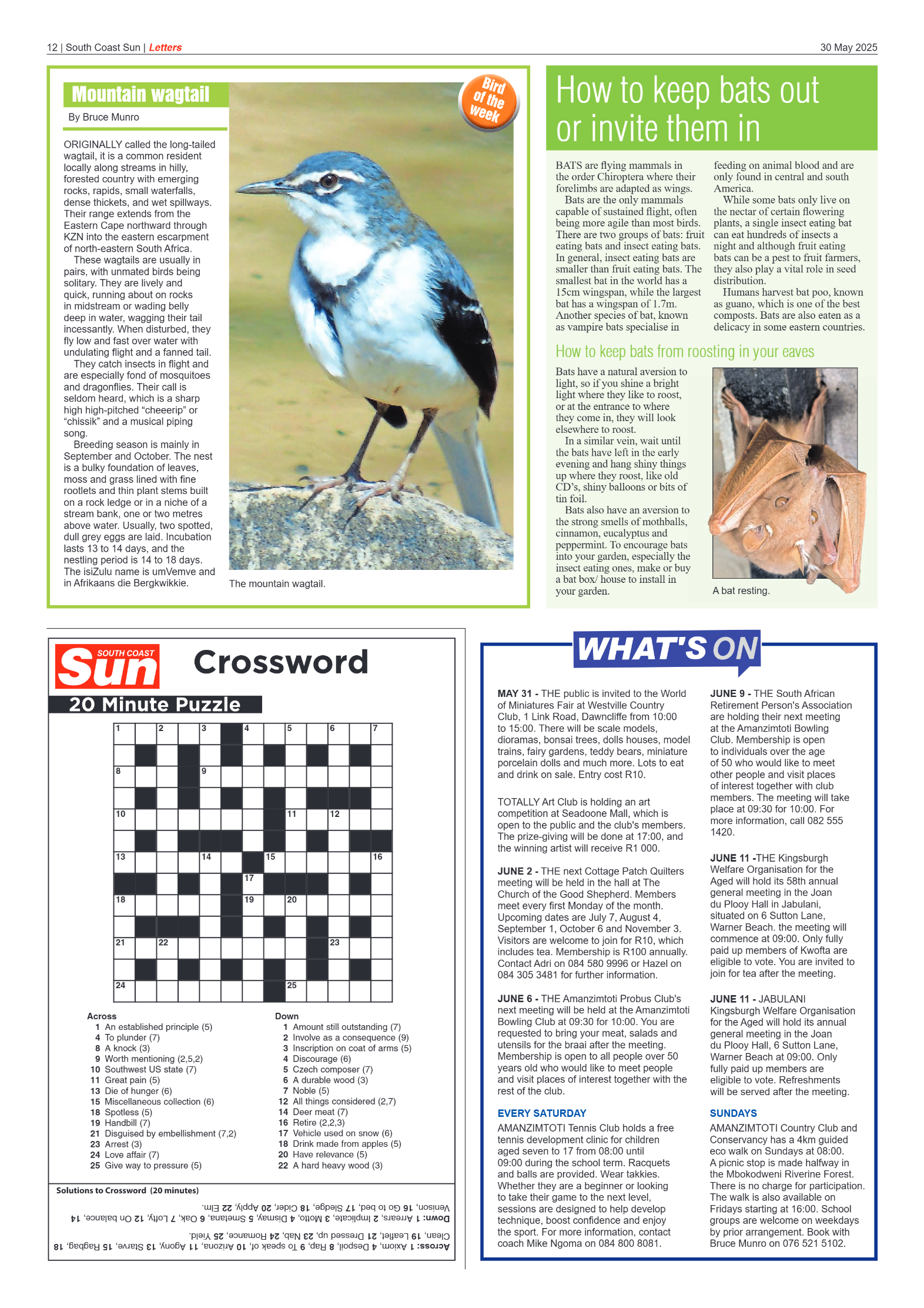 South Coast Sun 30 May 2025 page 11