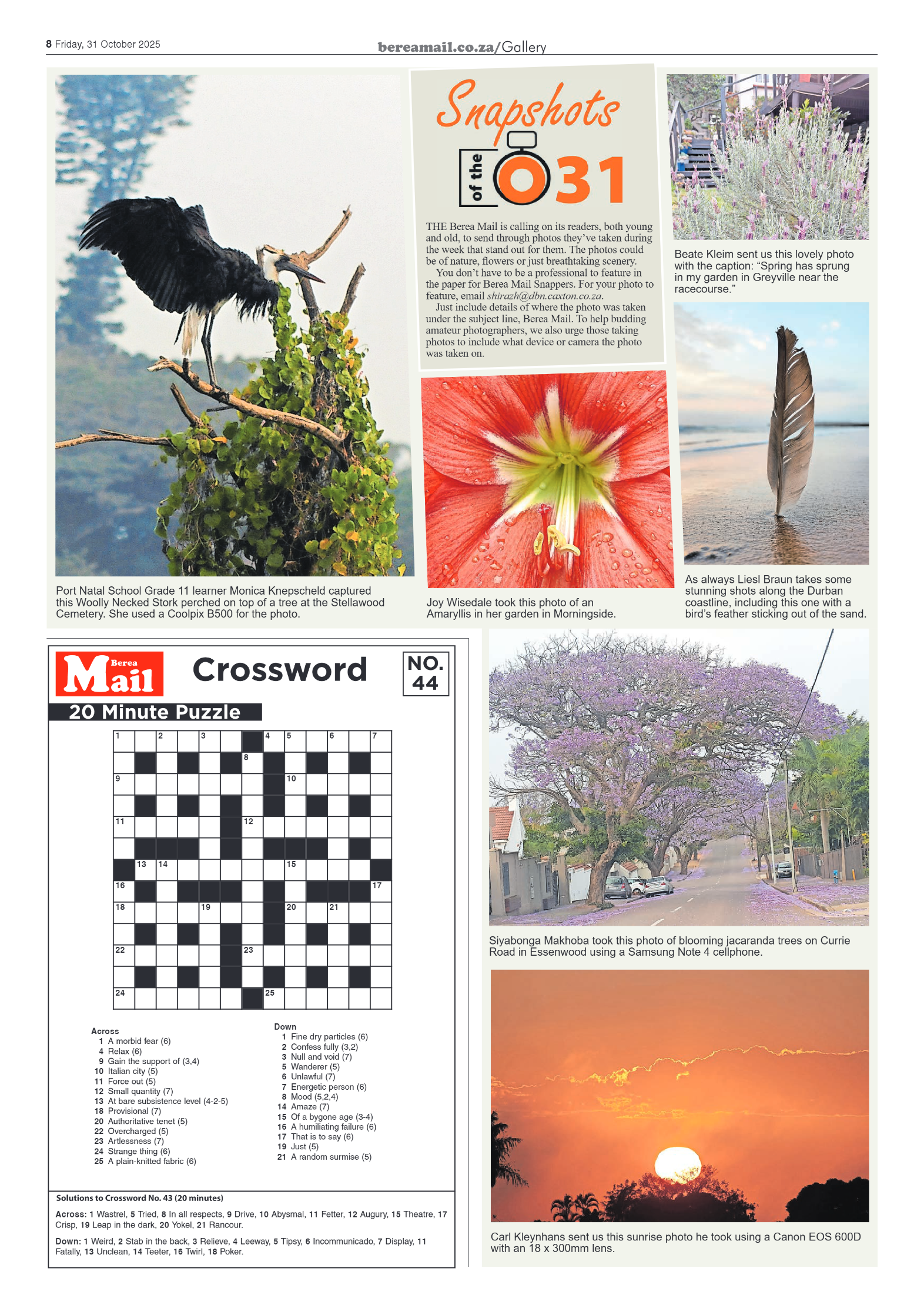 Berea Mail 31 October 2025 page 8