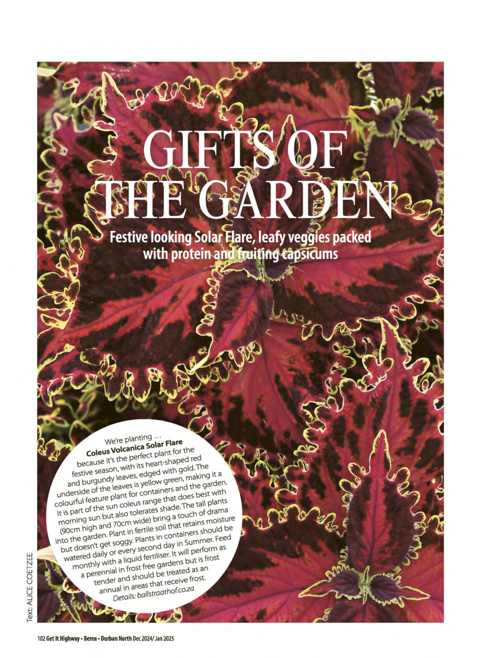 Get It Durban Dec Jan page 104