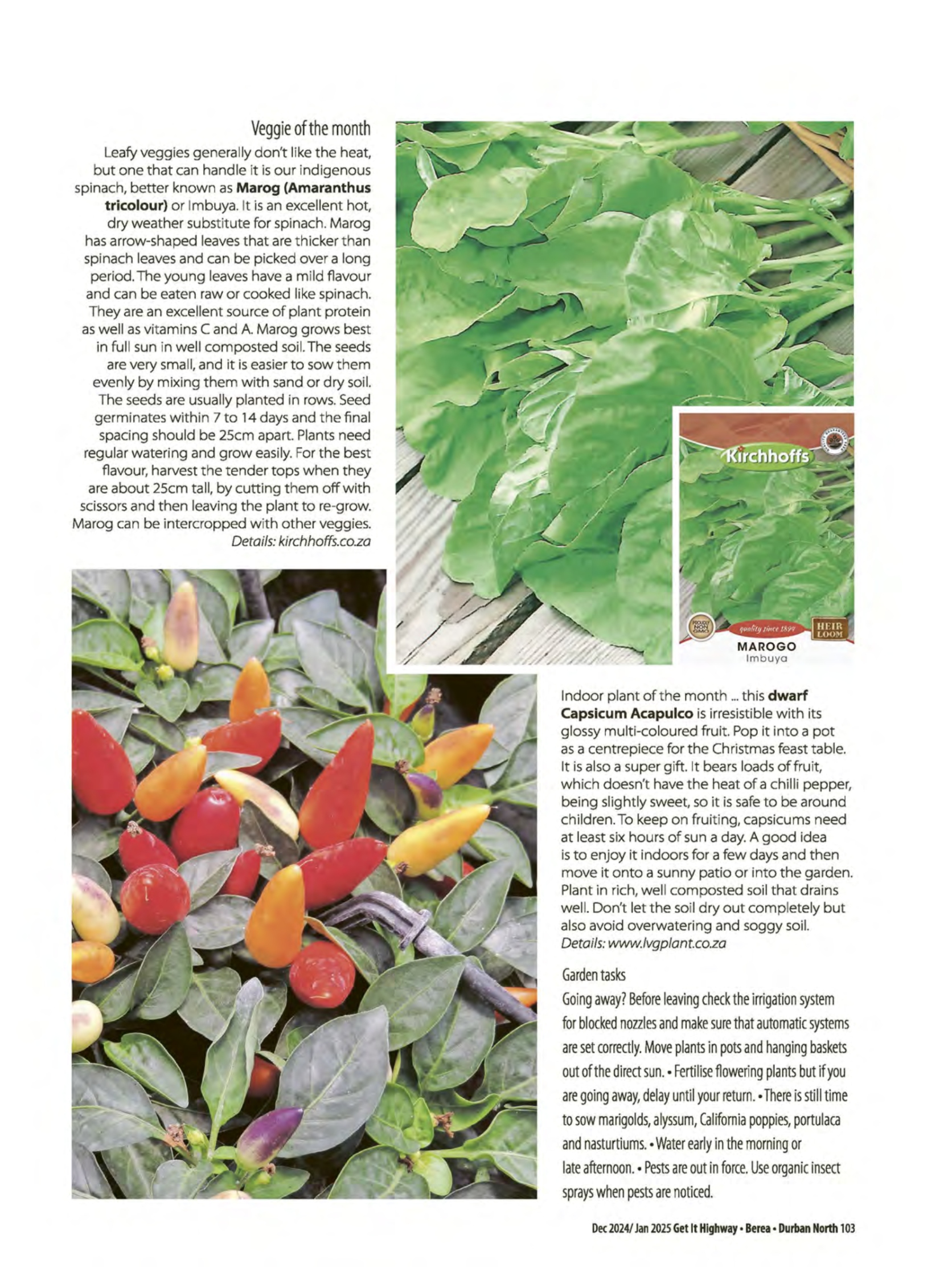 Get It Durban Dec Jan page 105