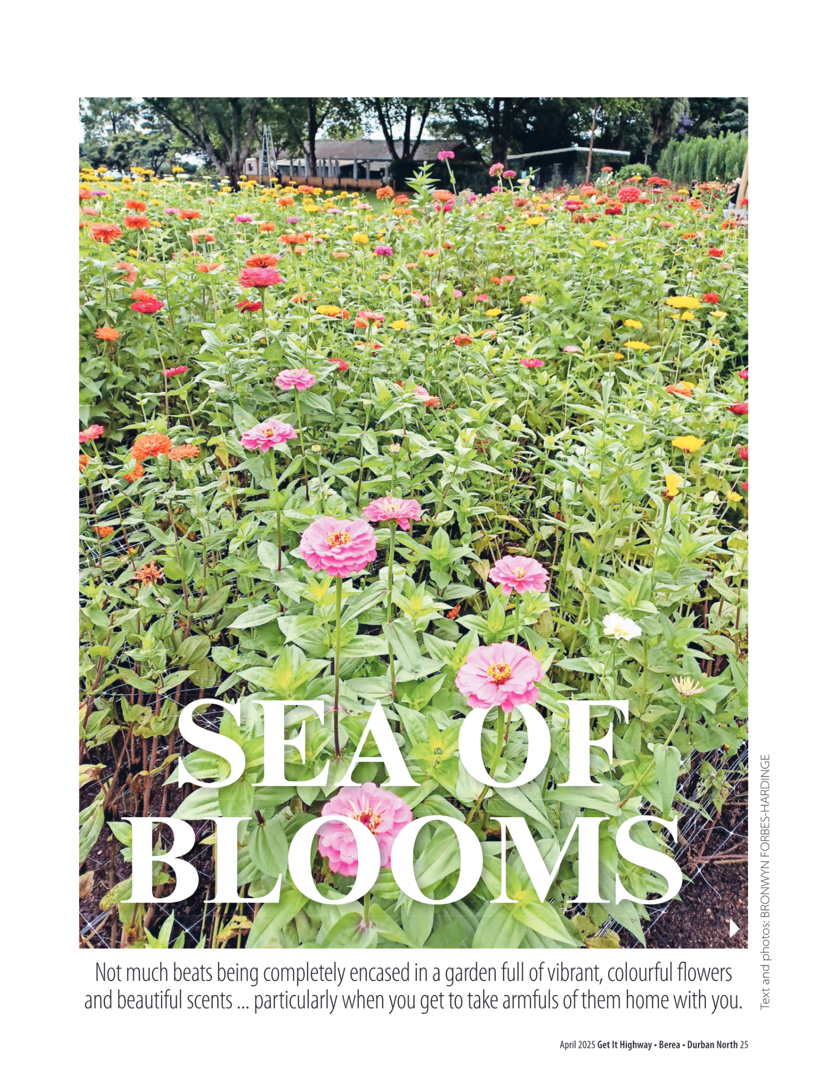 Get It Durban April 2025 page 27