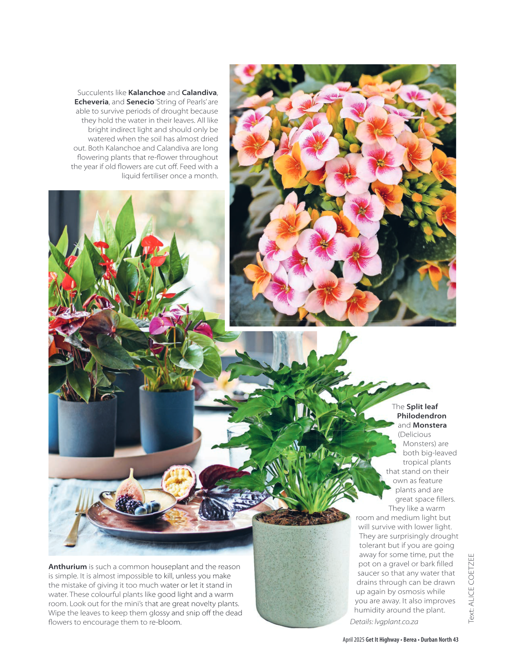 Get It Durban April 2025 page 45