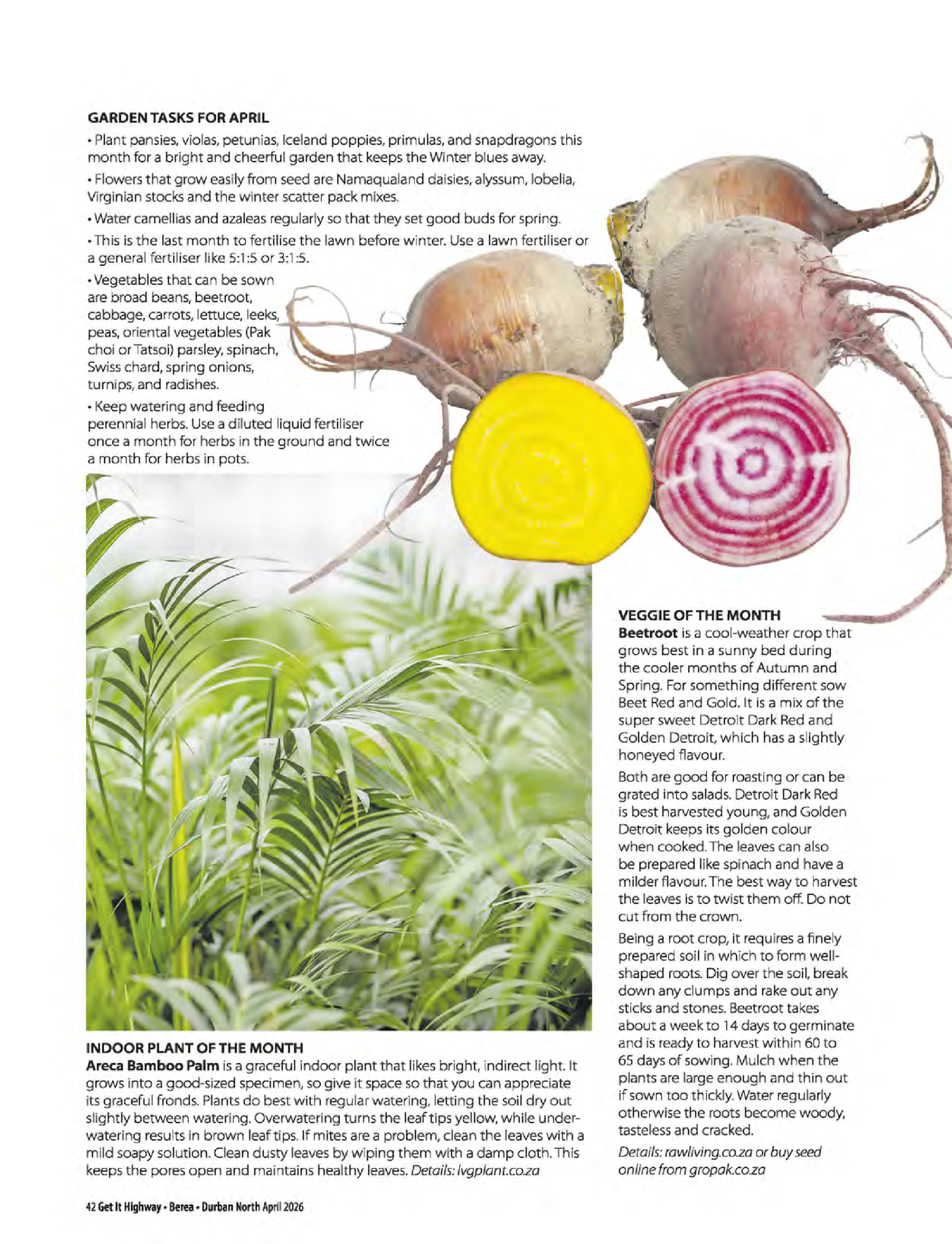 Get It Durban April 2026 page 44