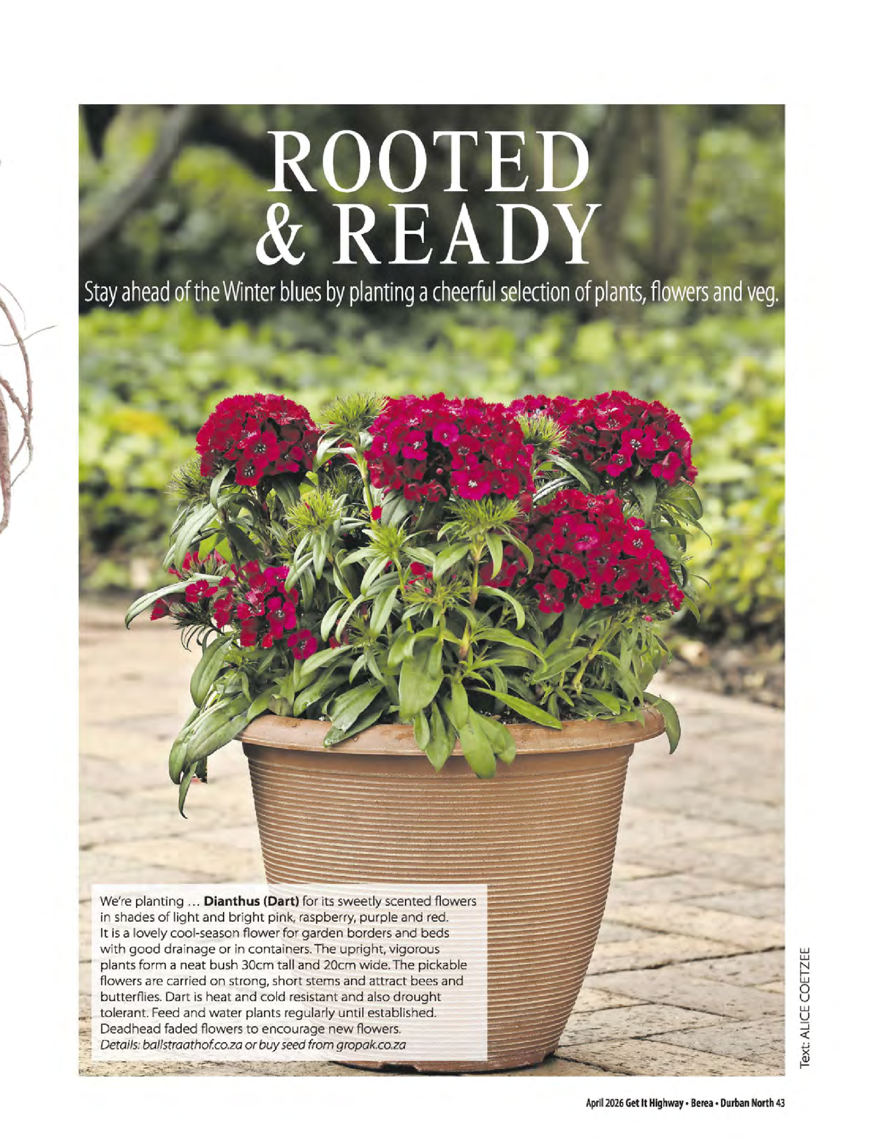 Get It Durban April 2026 page 45