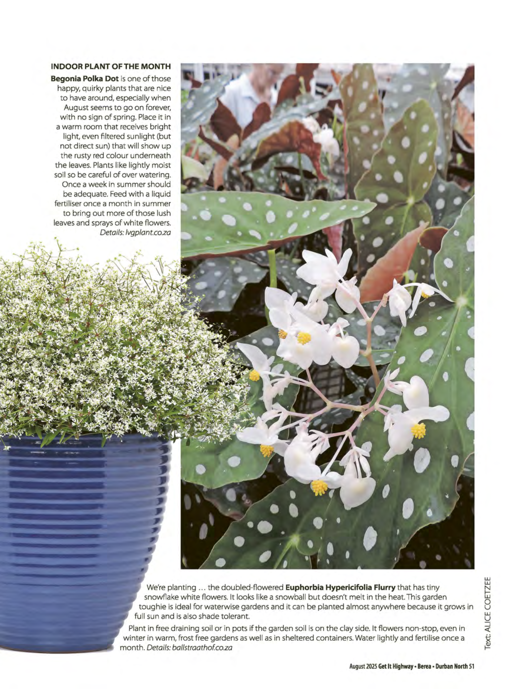 Get It August 2025 page 53