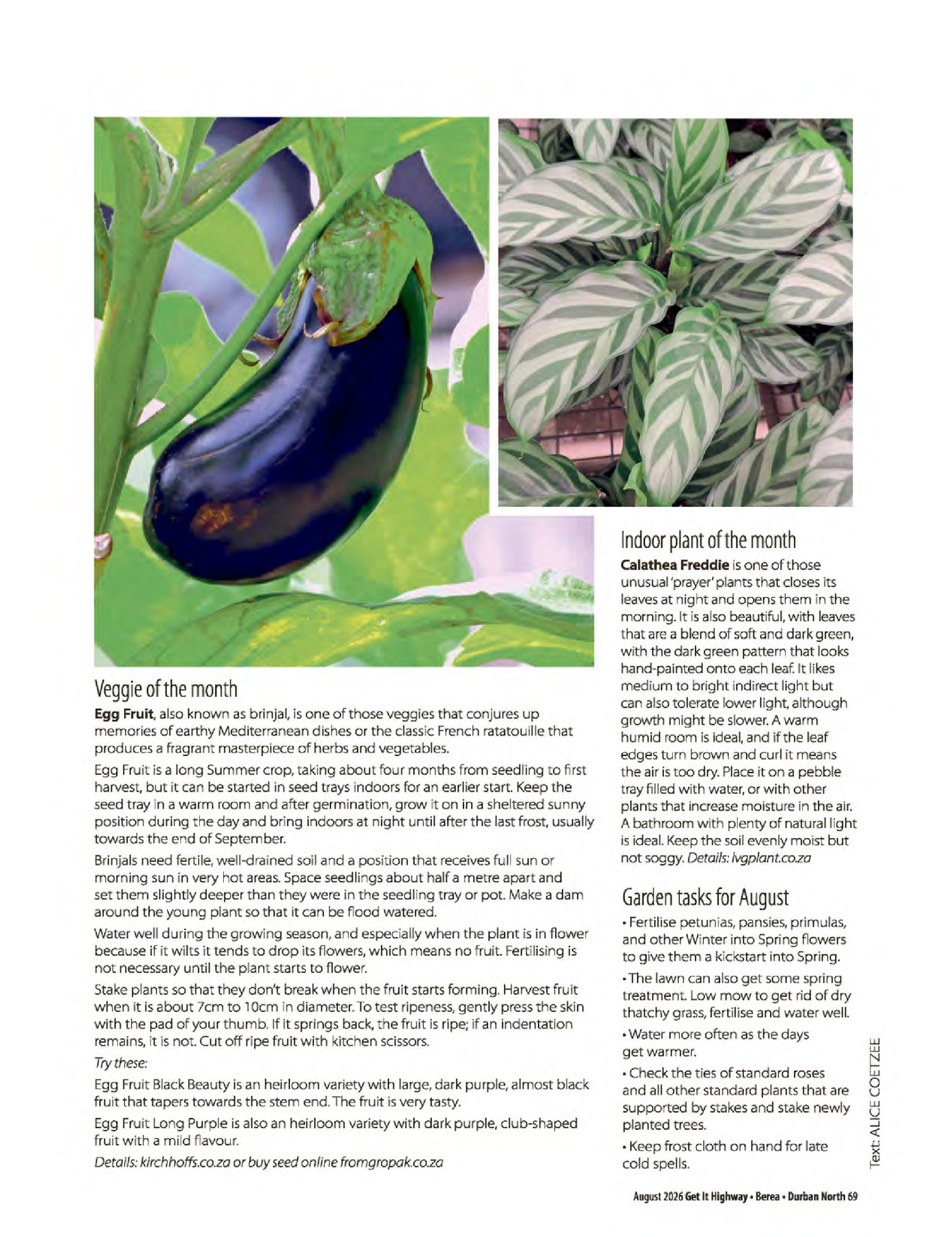 Get It Durban August 2026 page 71