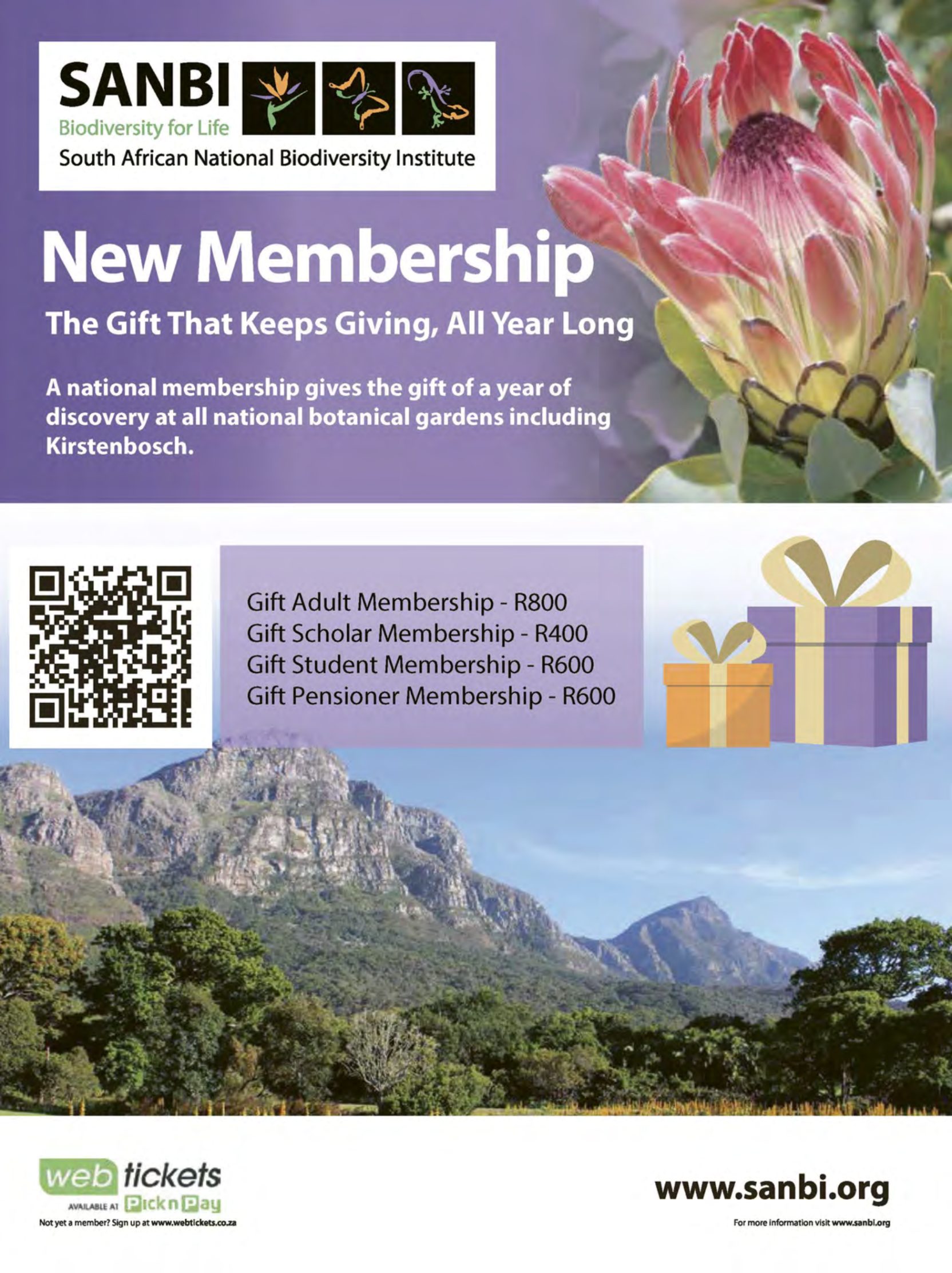 Get It Durban December 2025 page 113