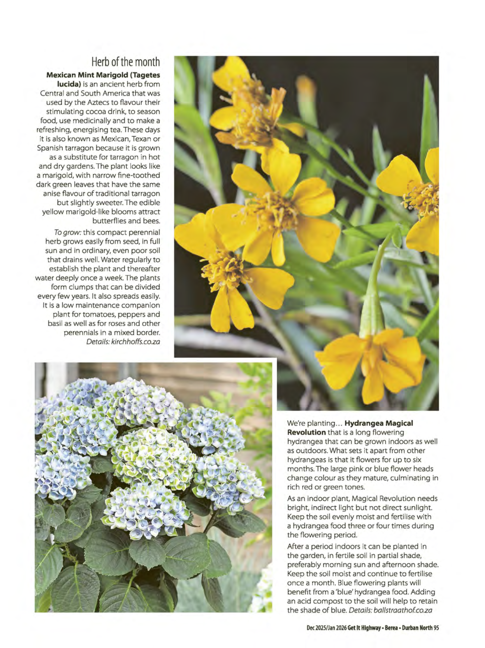 Get It Durban December 2025 page 97