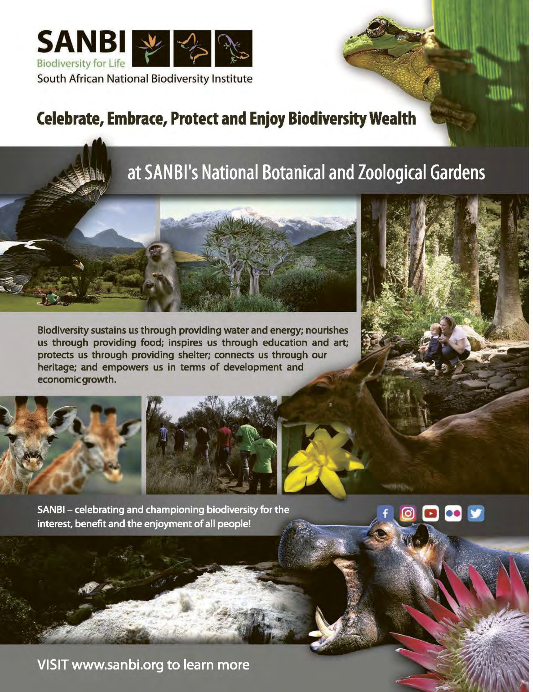 Get It Durban February 2025 page 32