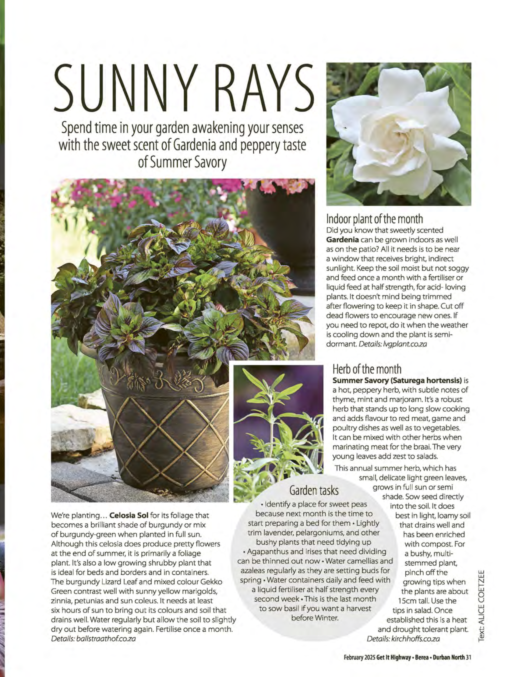 Get It Durban February 2025 page 33