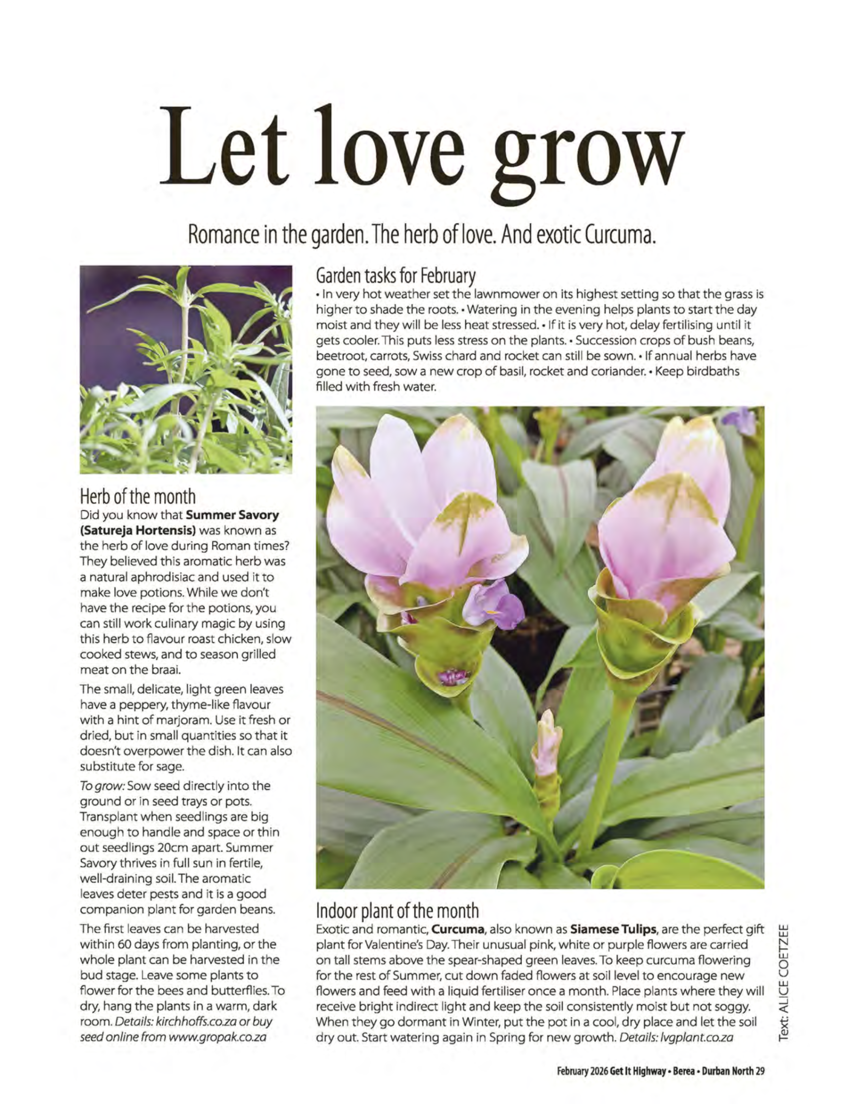 Get It Durban February 2026 page 31