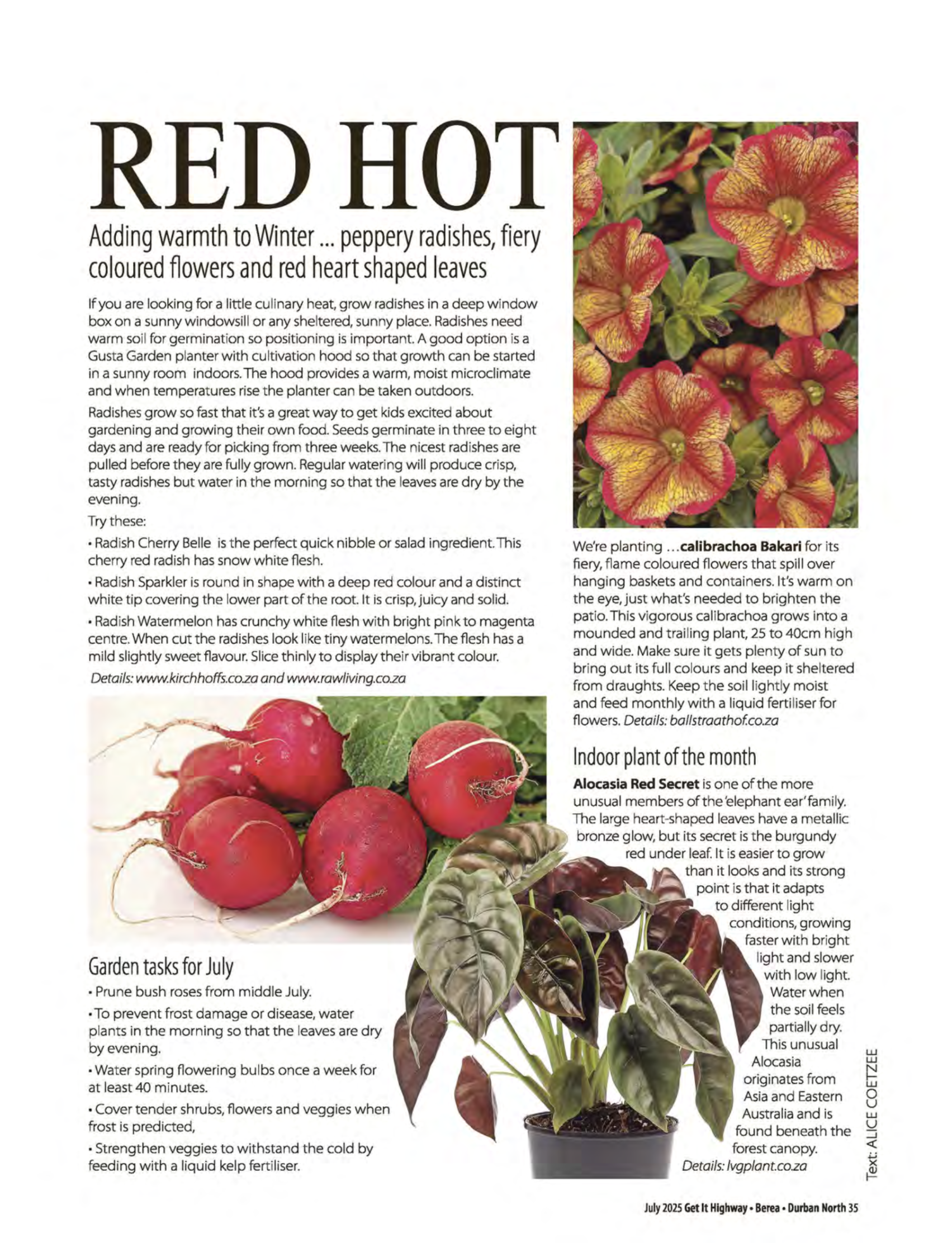 Get It July 2025 page 37