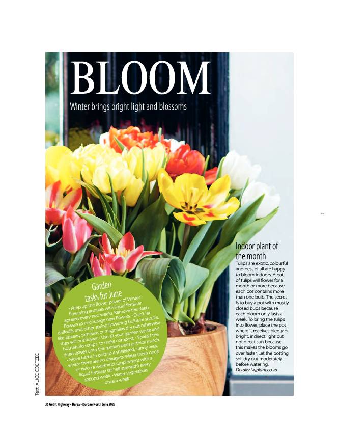 Get It June 2022 page 38