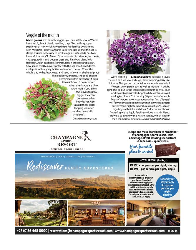 Get It June 2022 page 39