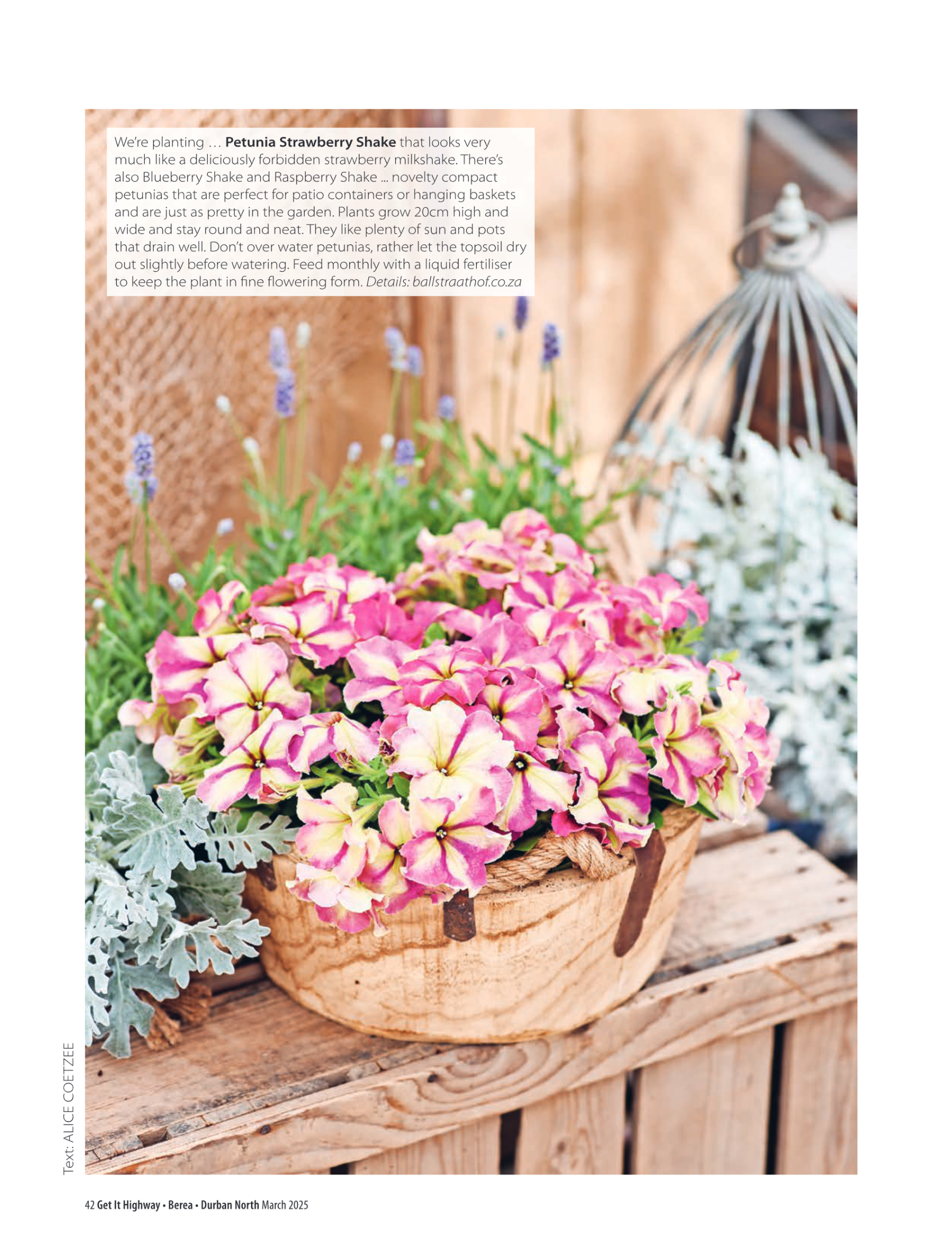 Get It Durban March 2025 page 44