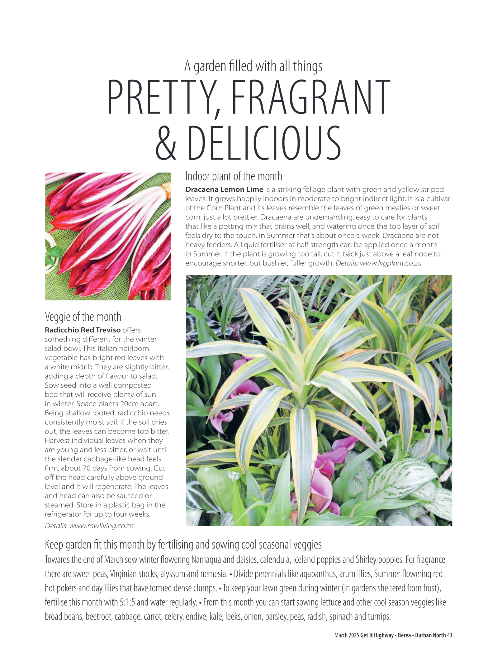 Get It Durban March 2025 page 45