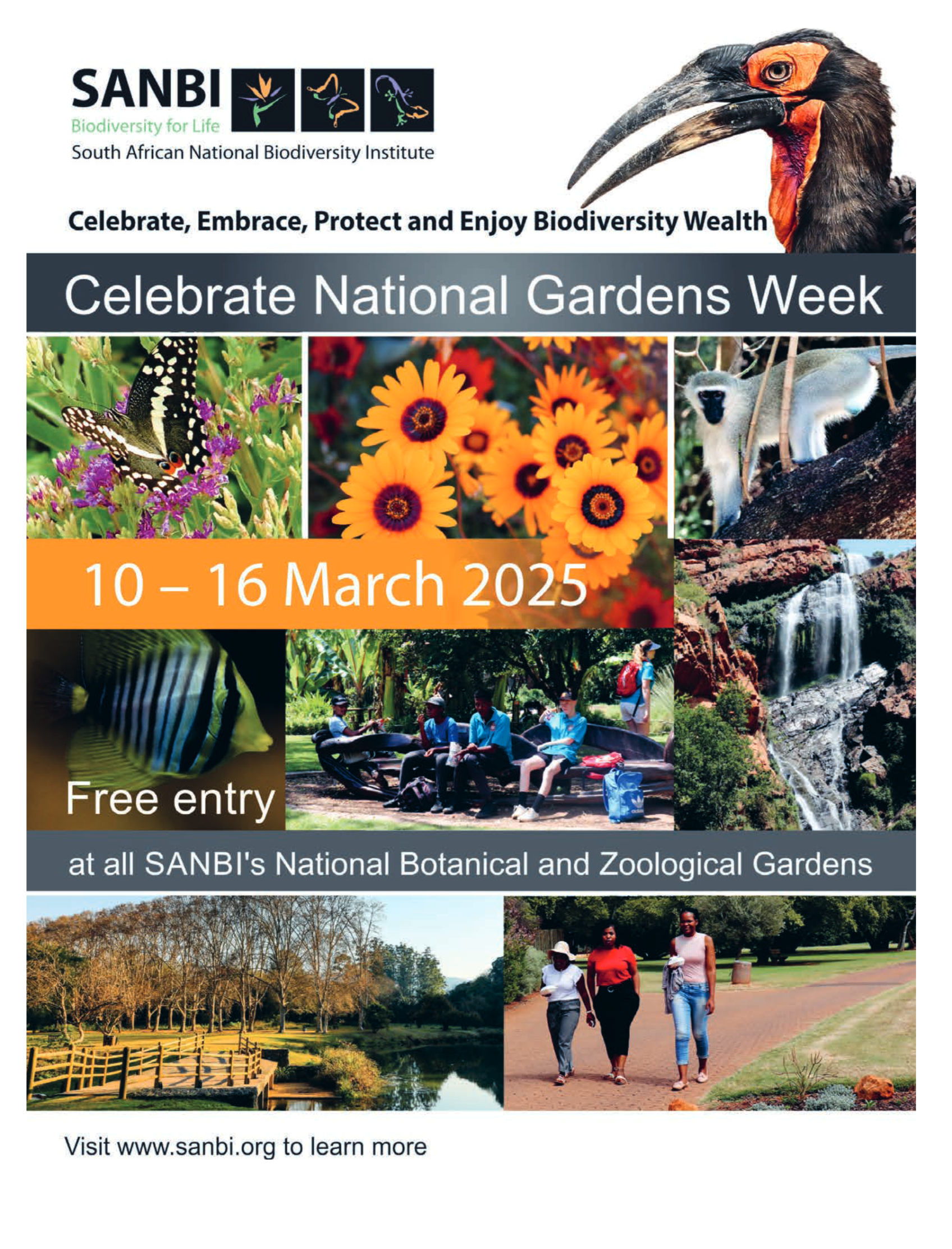 Get It Durban March 2025 page 46