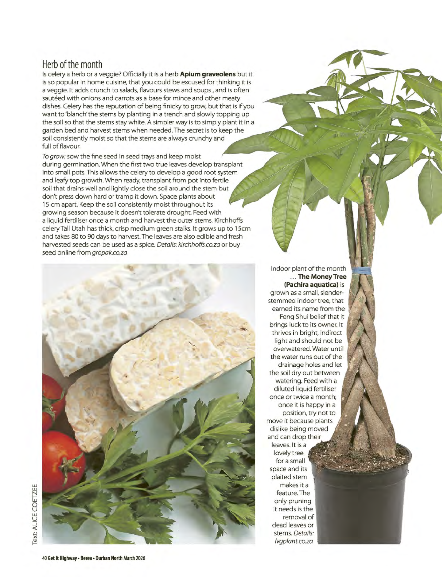 Get It Durban March 2026 page 42