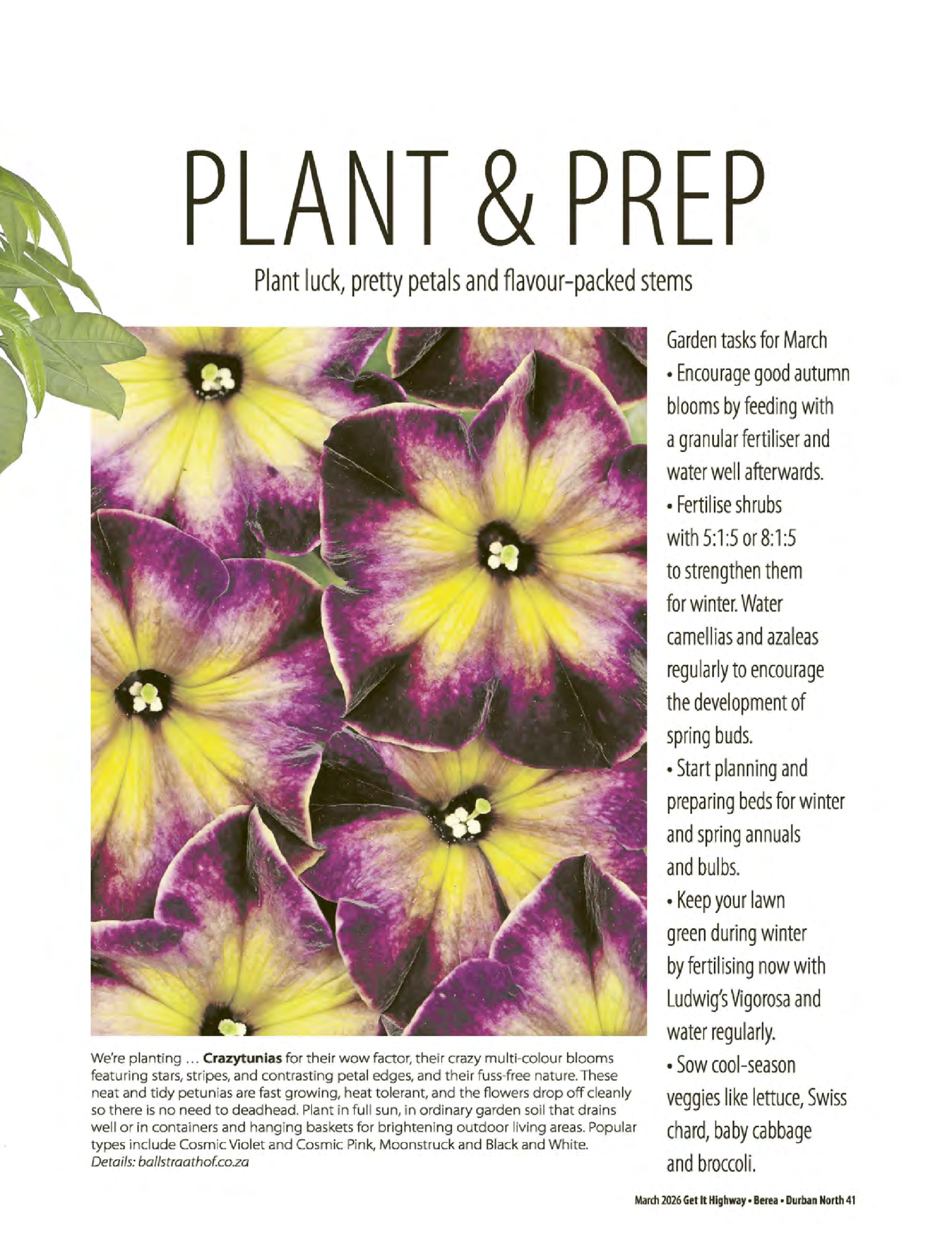 Get It Durban March 2026 page 43