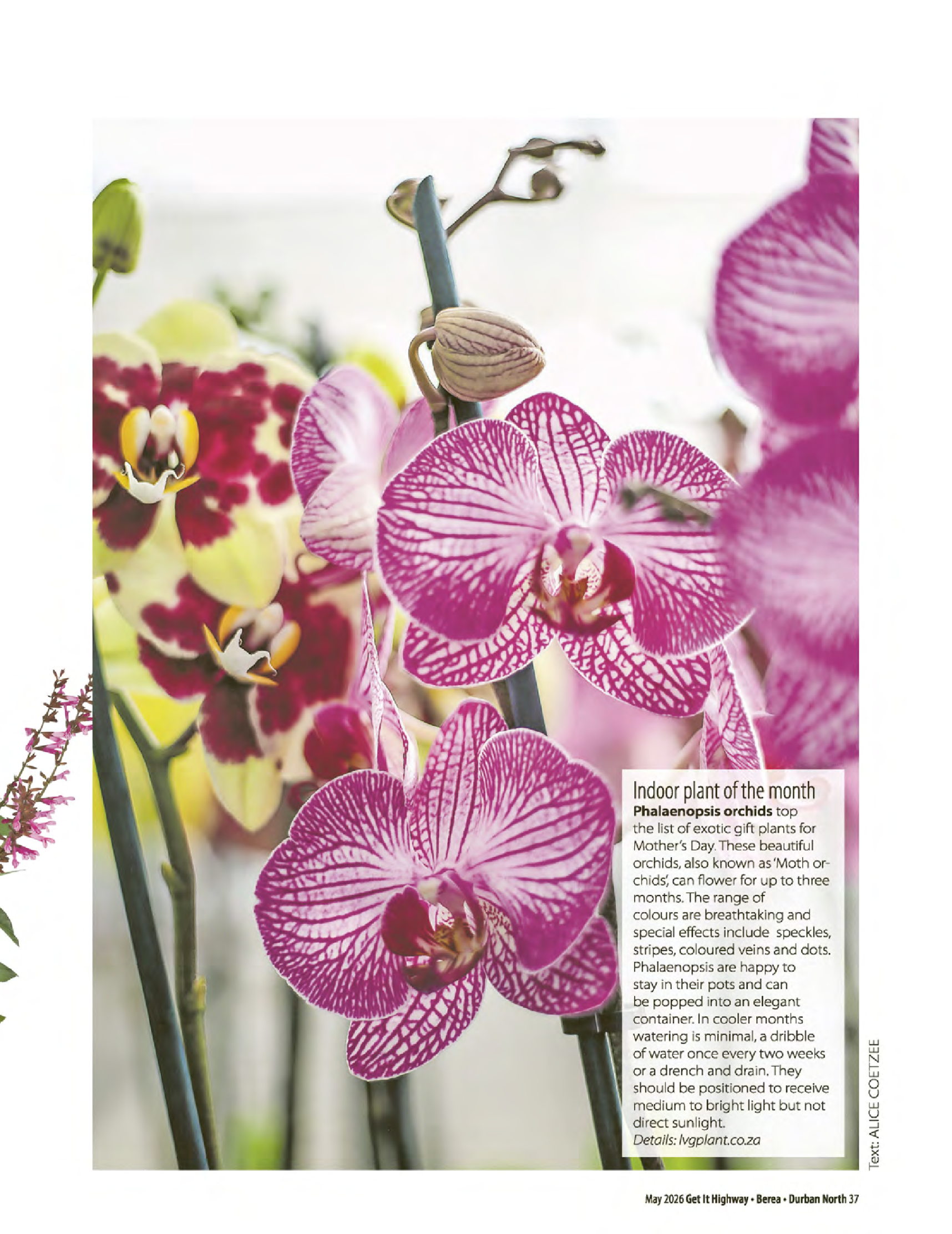 Get It Durban May 2026 page 39