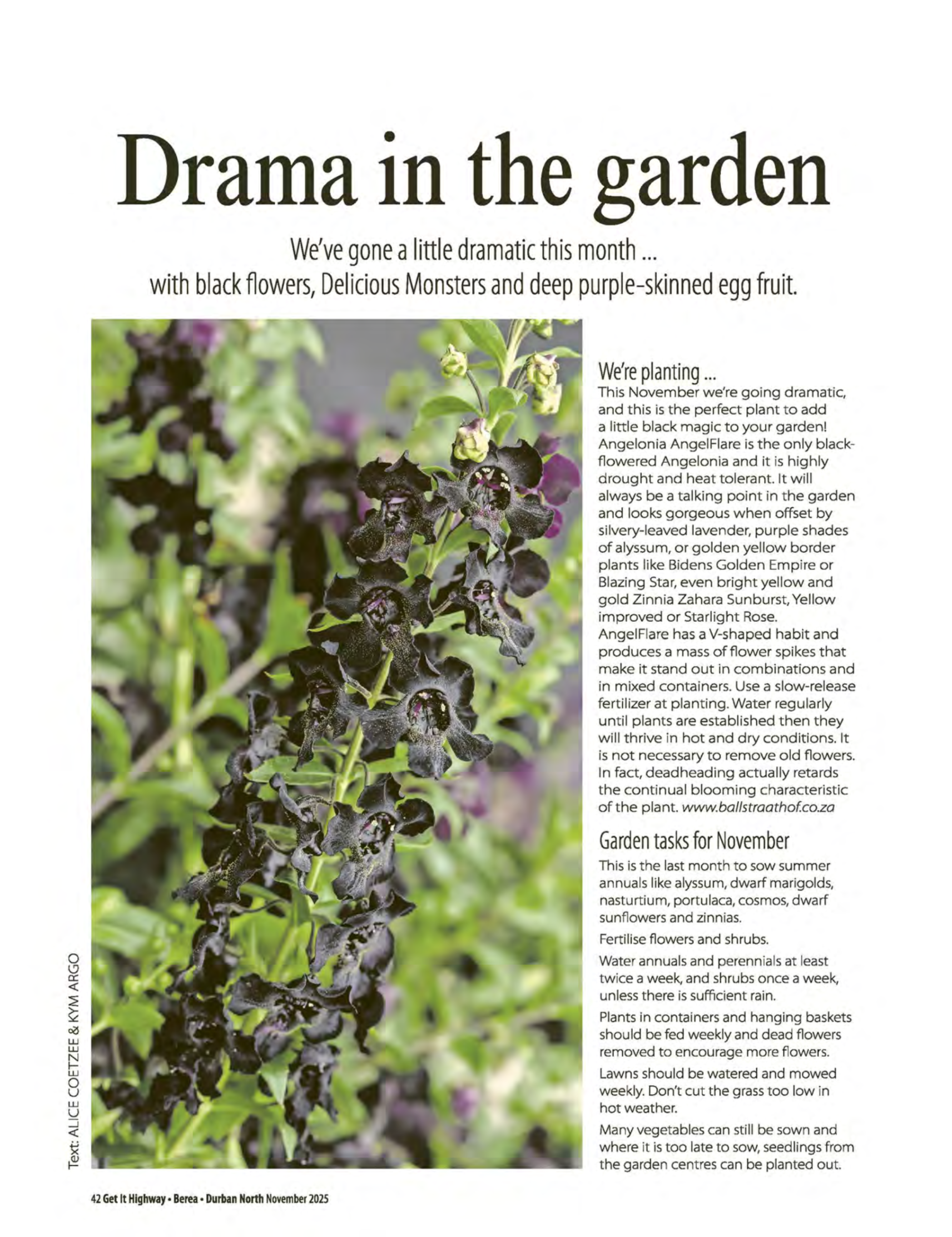 Get It Durban November 2025 page 44