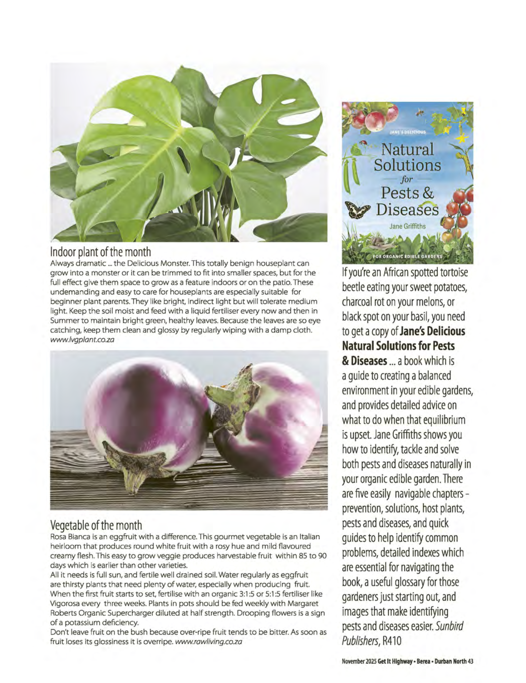 Get It Durban November 2025 page 45