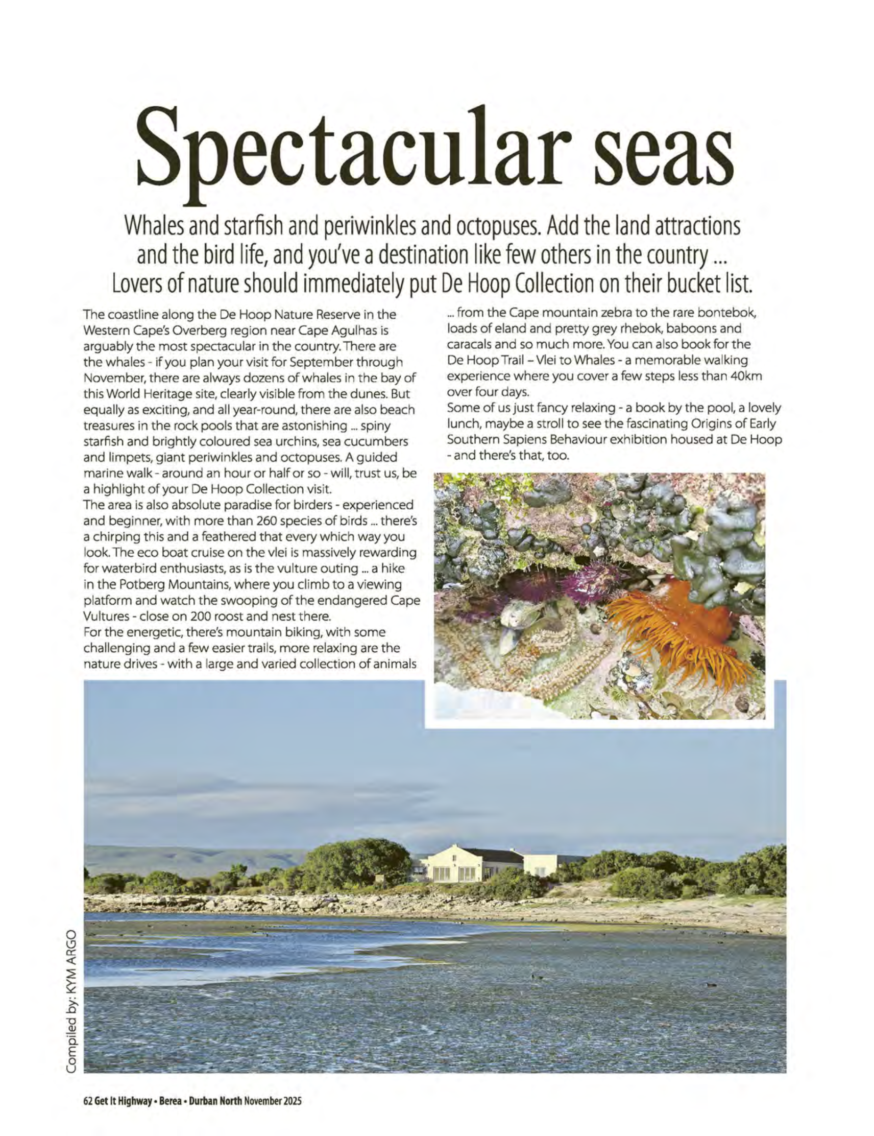 Get It Durban November 2025 page 64