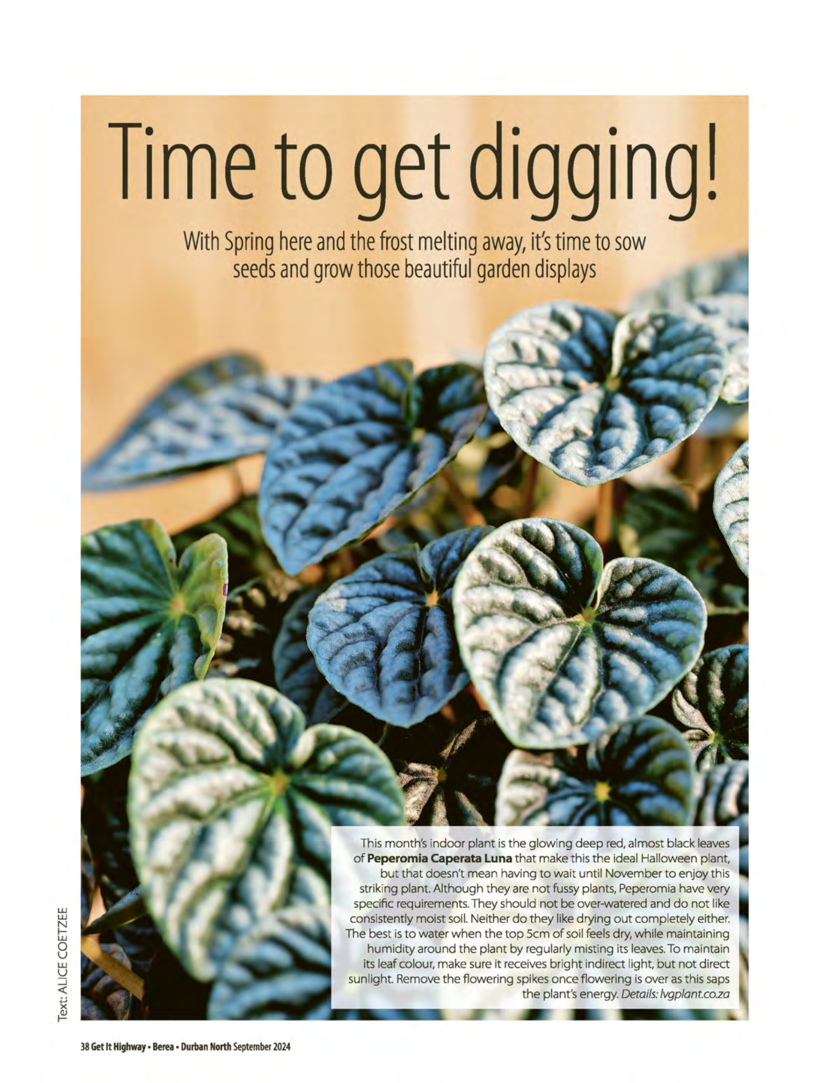 Get It September 2024 page 40