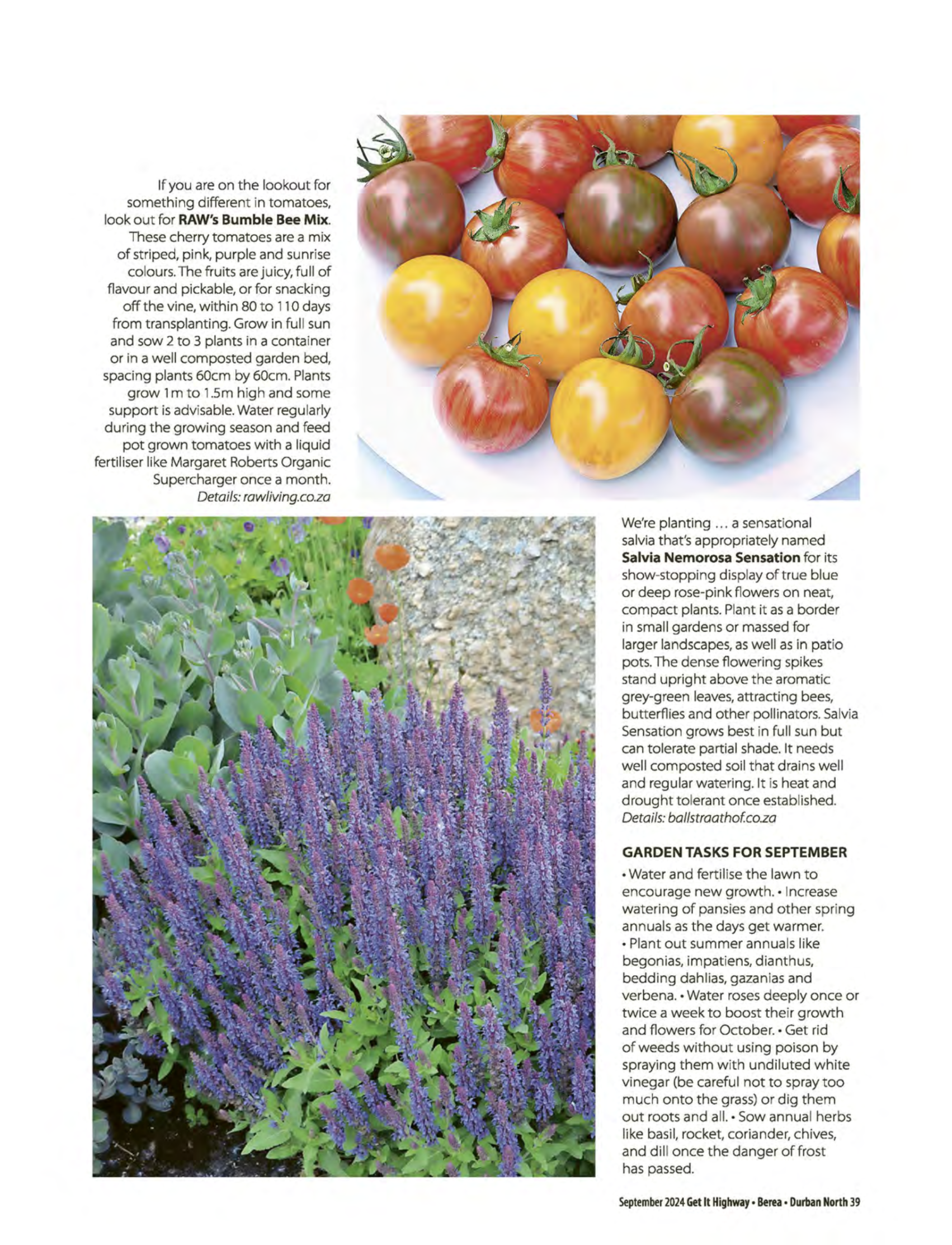 Get It September 2024 page 41