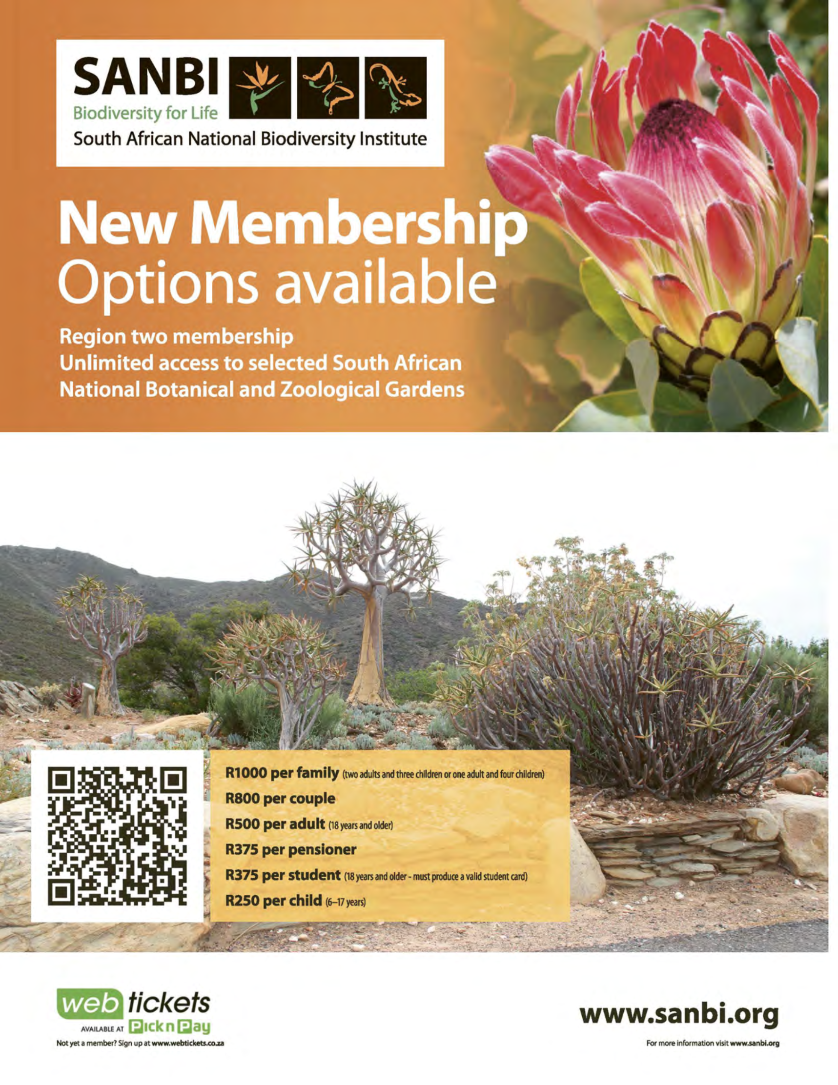 Get It Durban September 2025 page 40