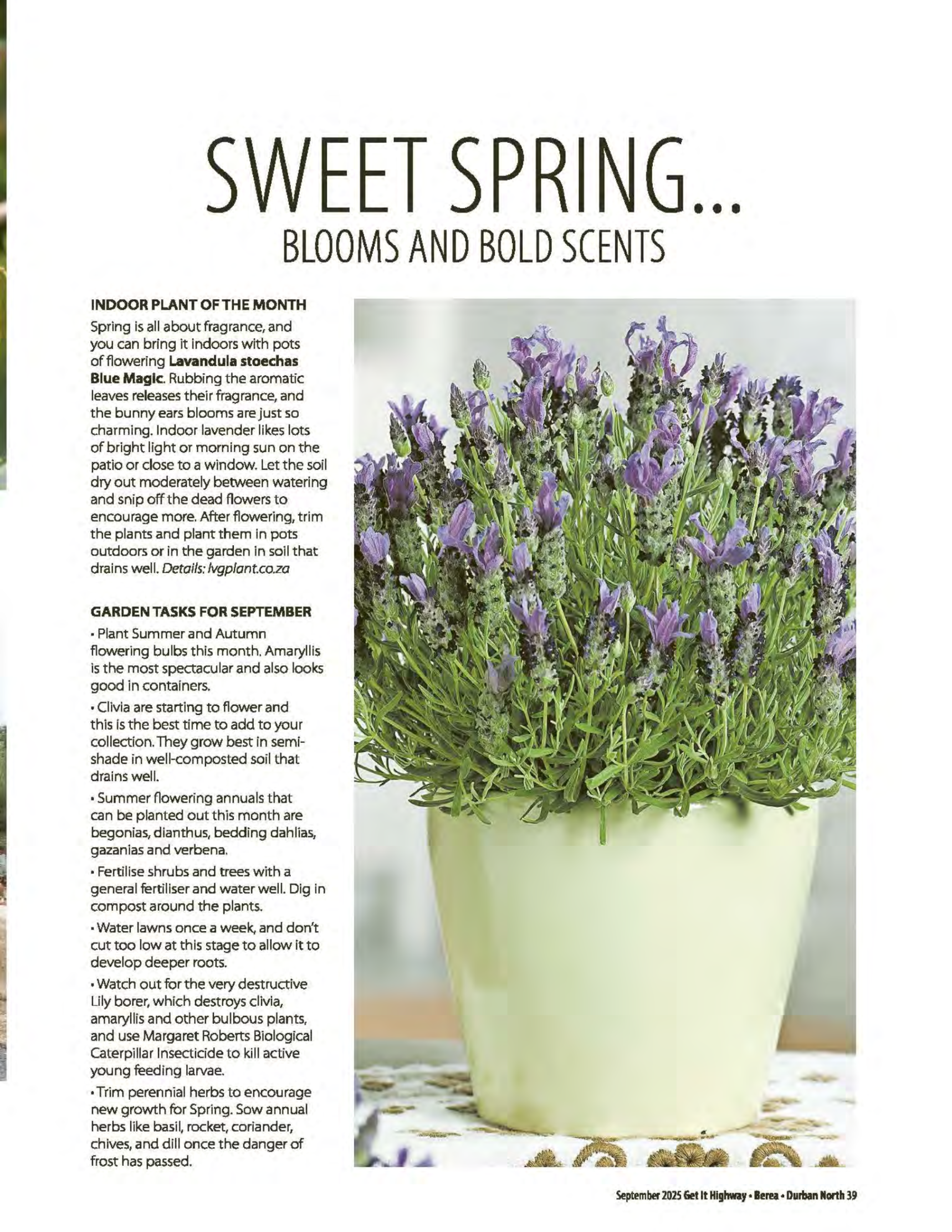 Get It Durban September 2025 page 41