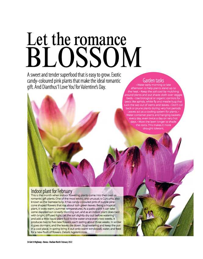 Get It Highway Berea Durban North February 2022 page 38