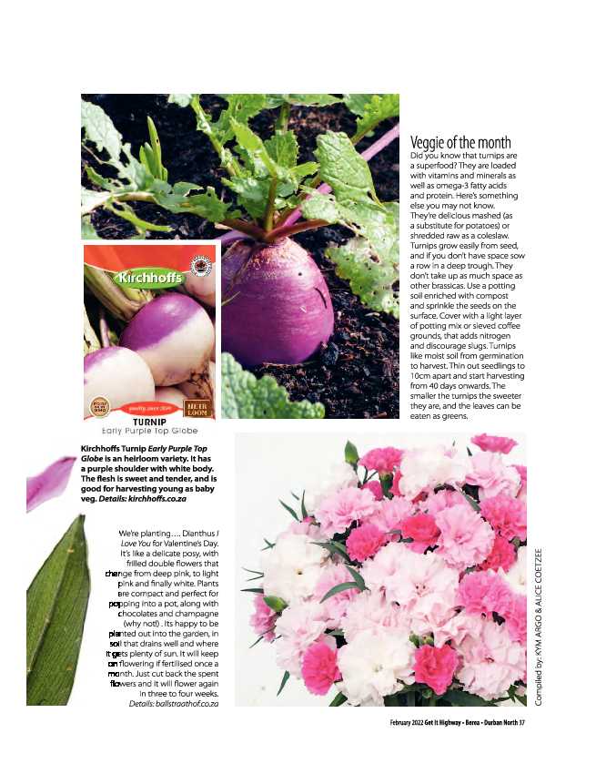 Get It Highway Berea Durban North February 2022 page 39