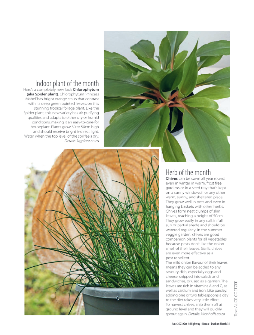 Get It June 2023 page 33