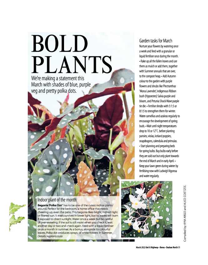 Get It March 2022 page 33