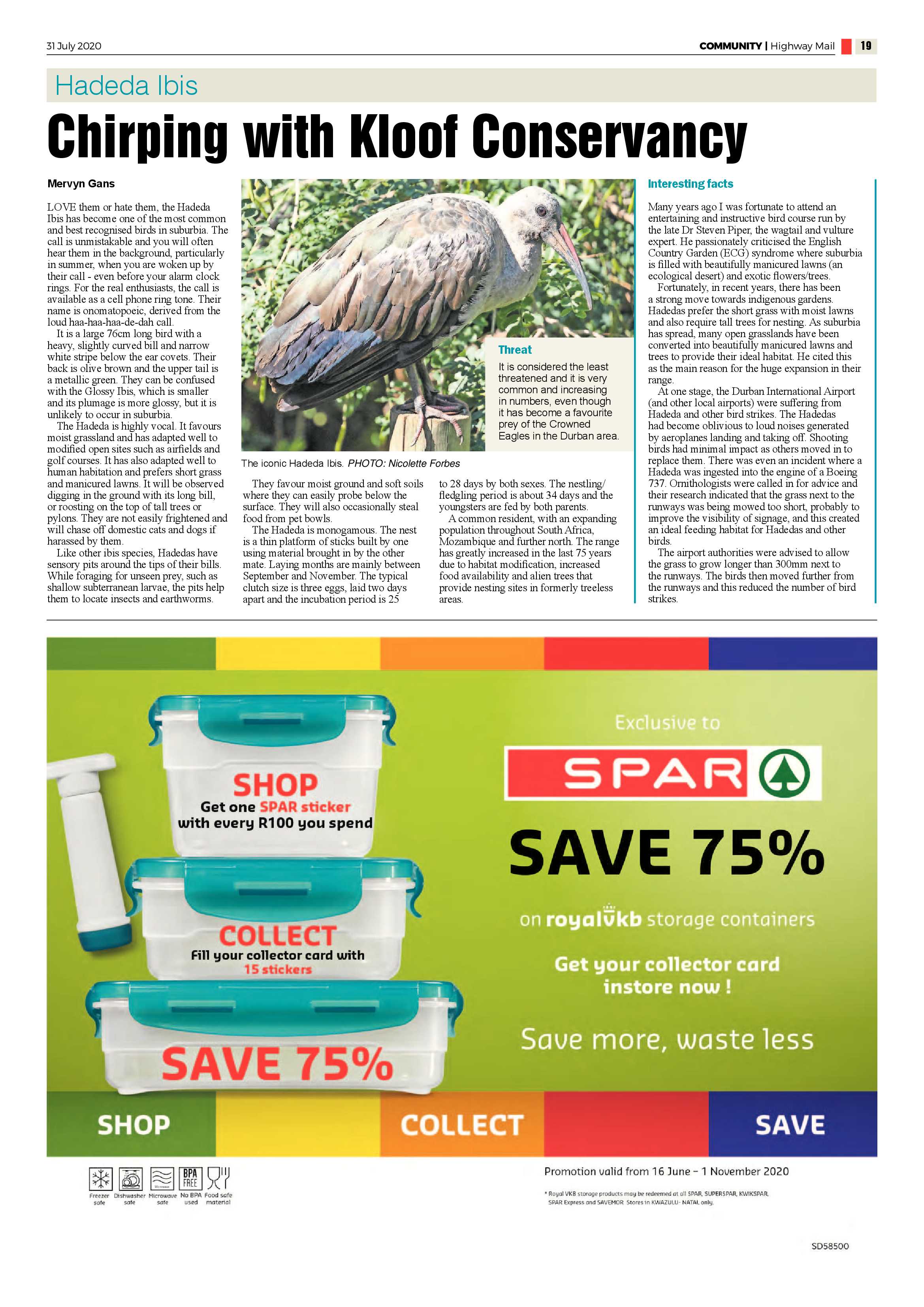 Highway Mail 31 July 2020 page 19