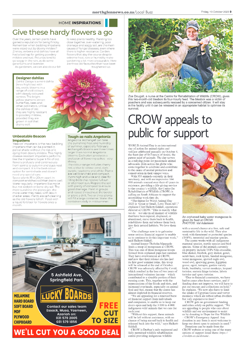 Northglen News 13 October 2023 page 9