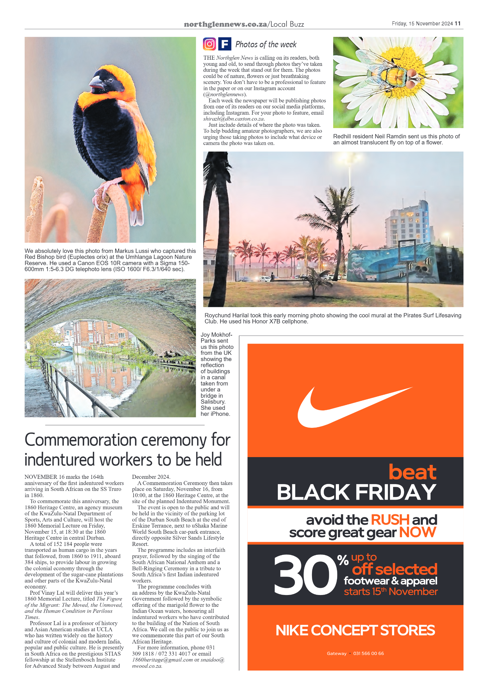 Northglen News 15 November 2024 page 11