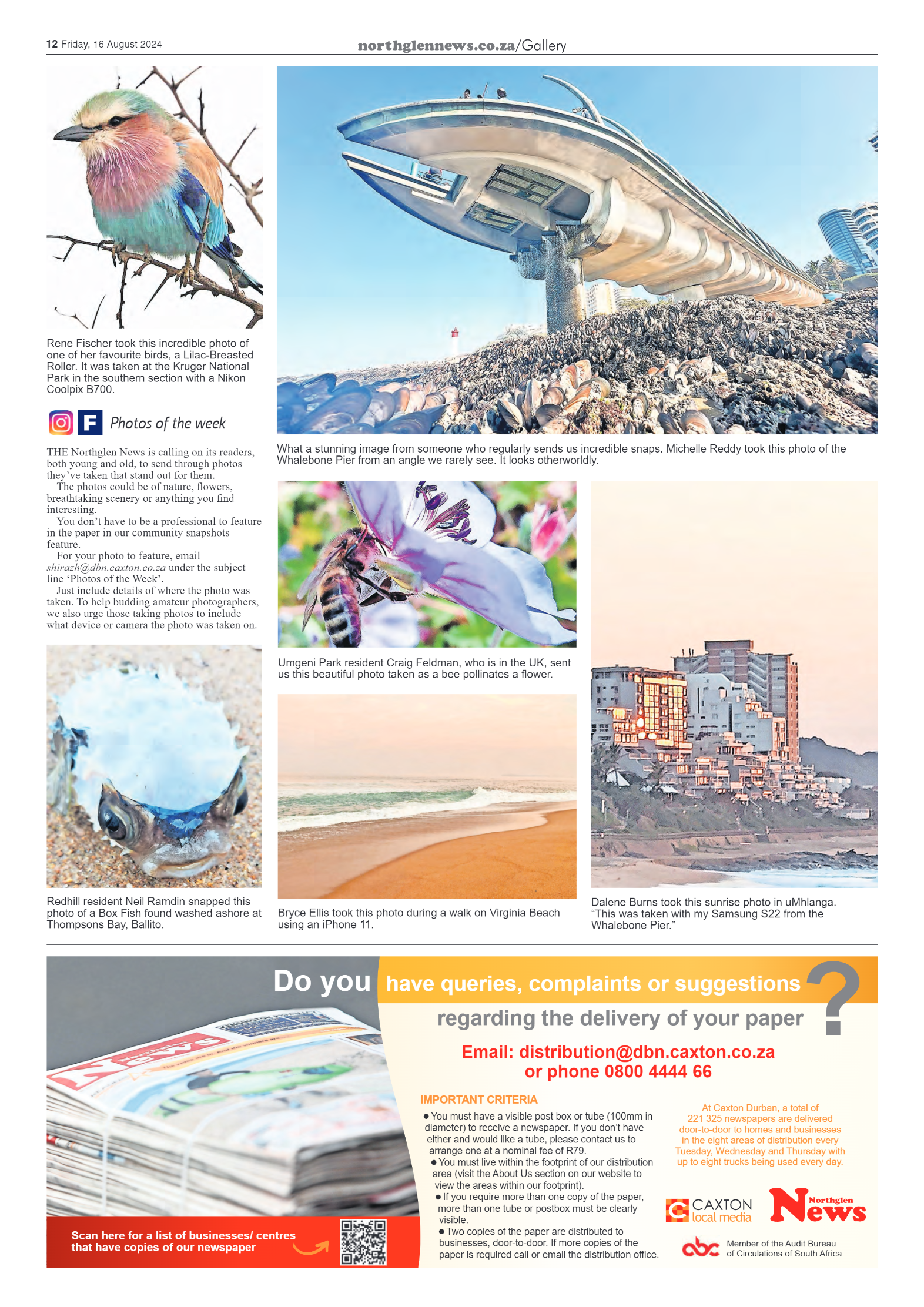 Northglen News 16 August 2024 page 12