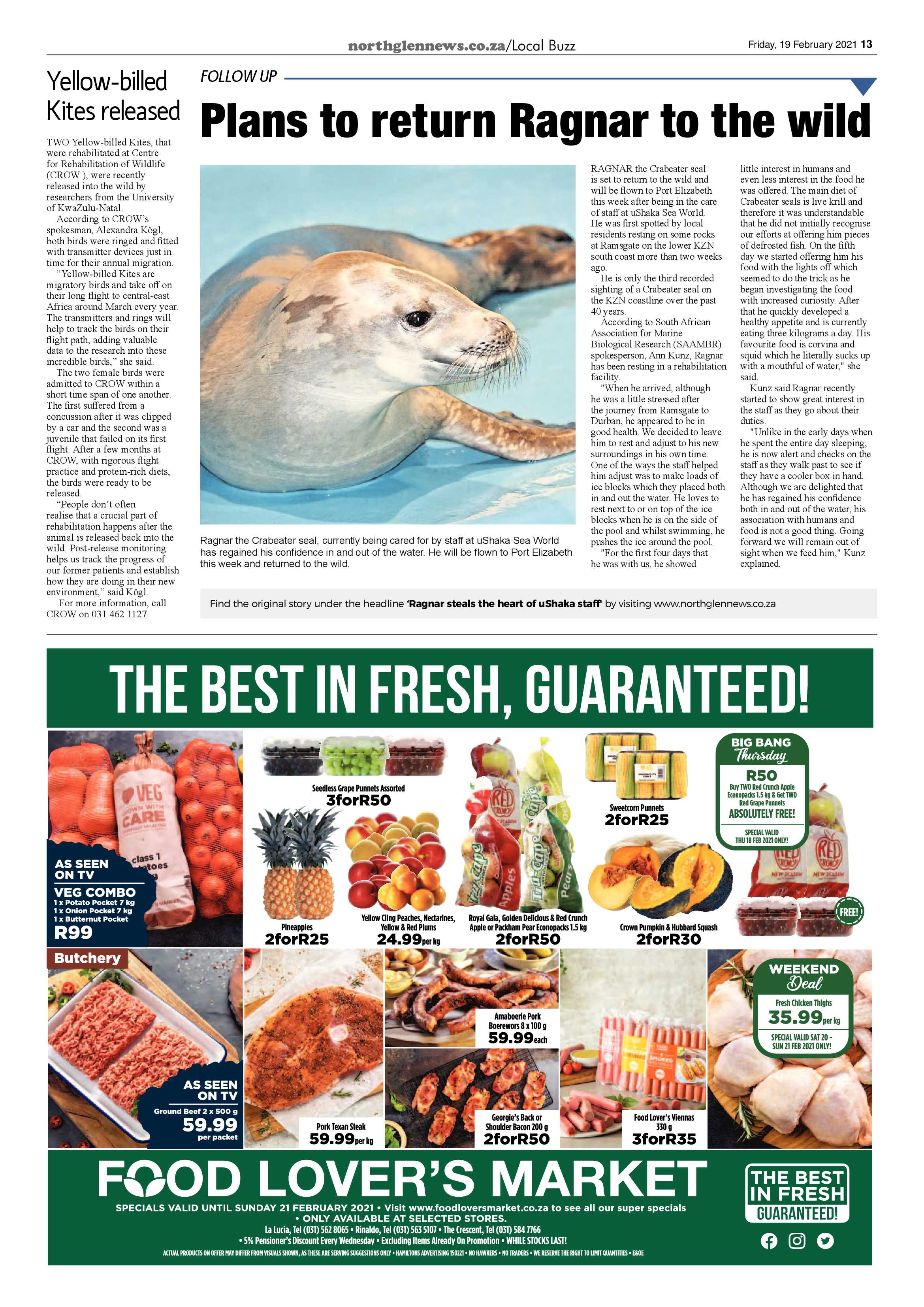 Northglen News 19 February 2021 page 13