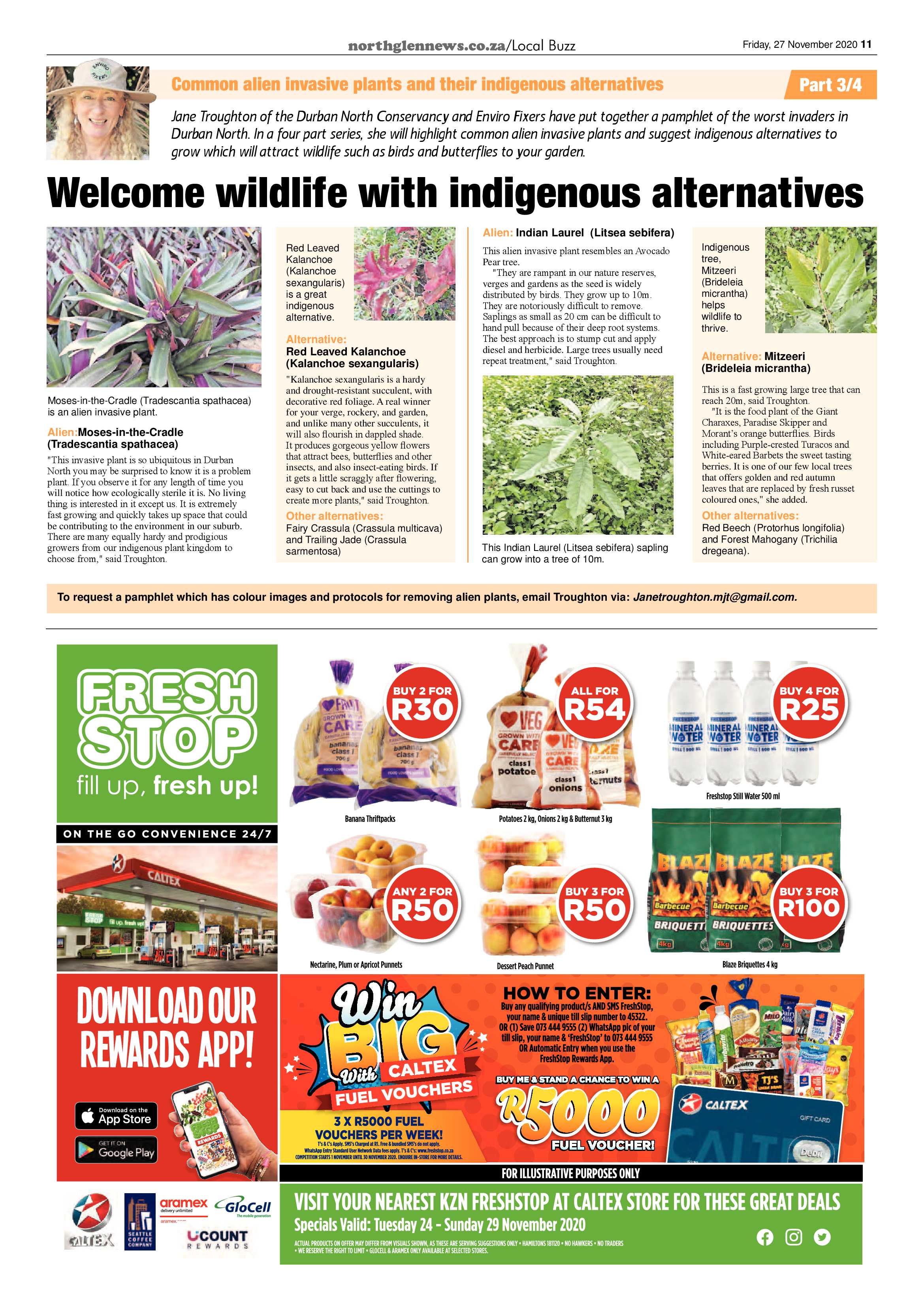 Northglen News 27 November 2020 page 11