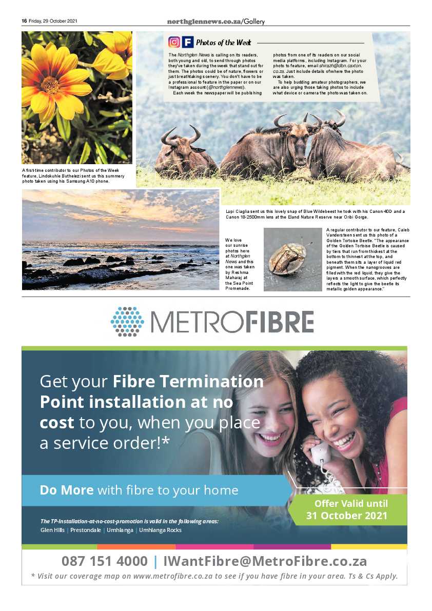 Northglen News 29 October 2021 page 16