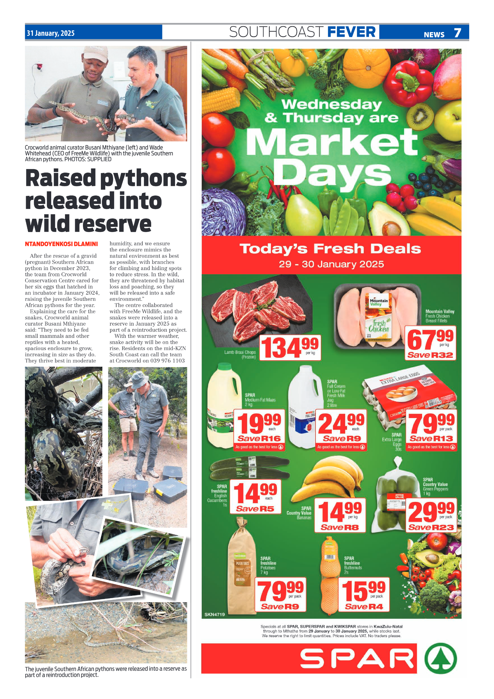 SCF 31 Jan page 7