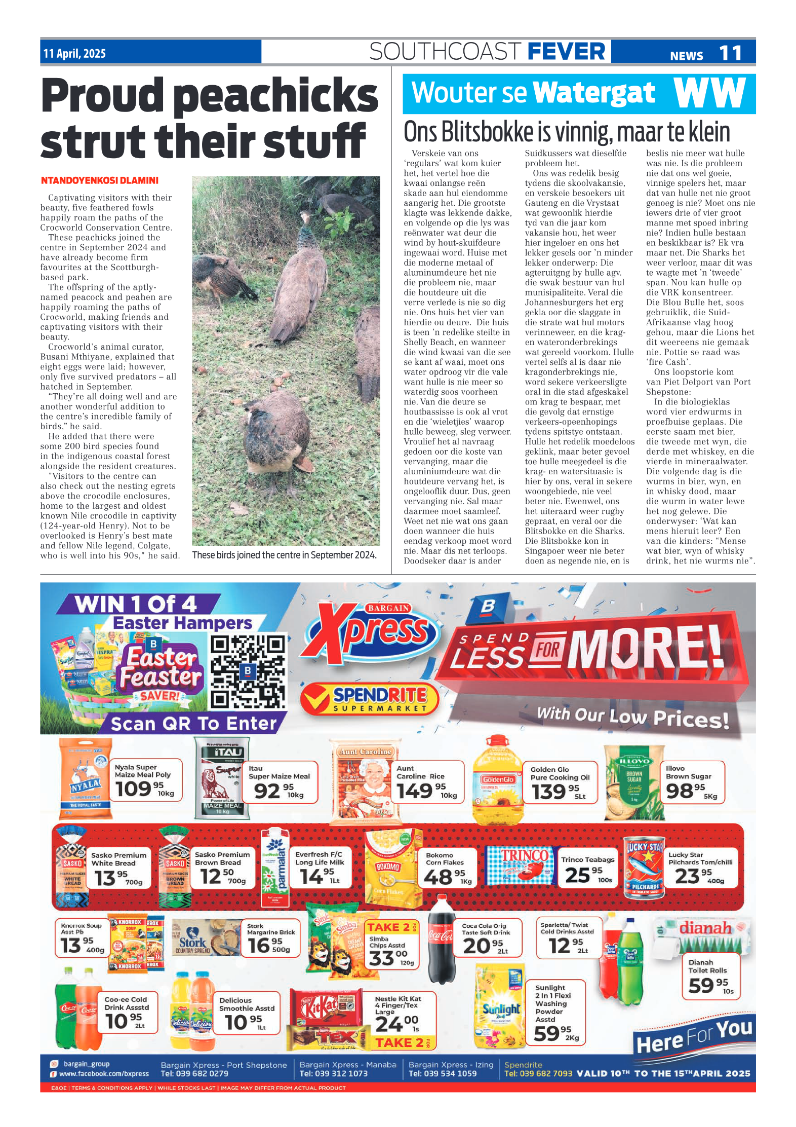 SCF 11 April page 11