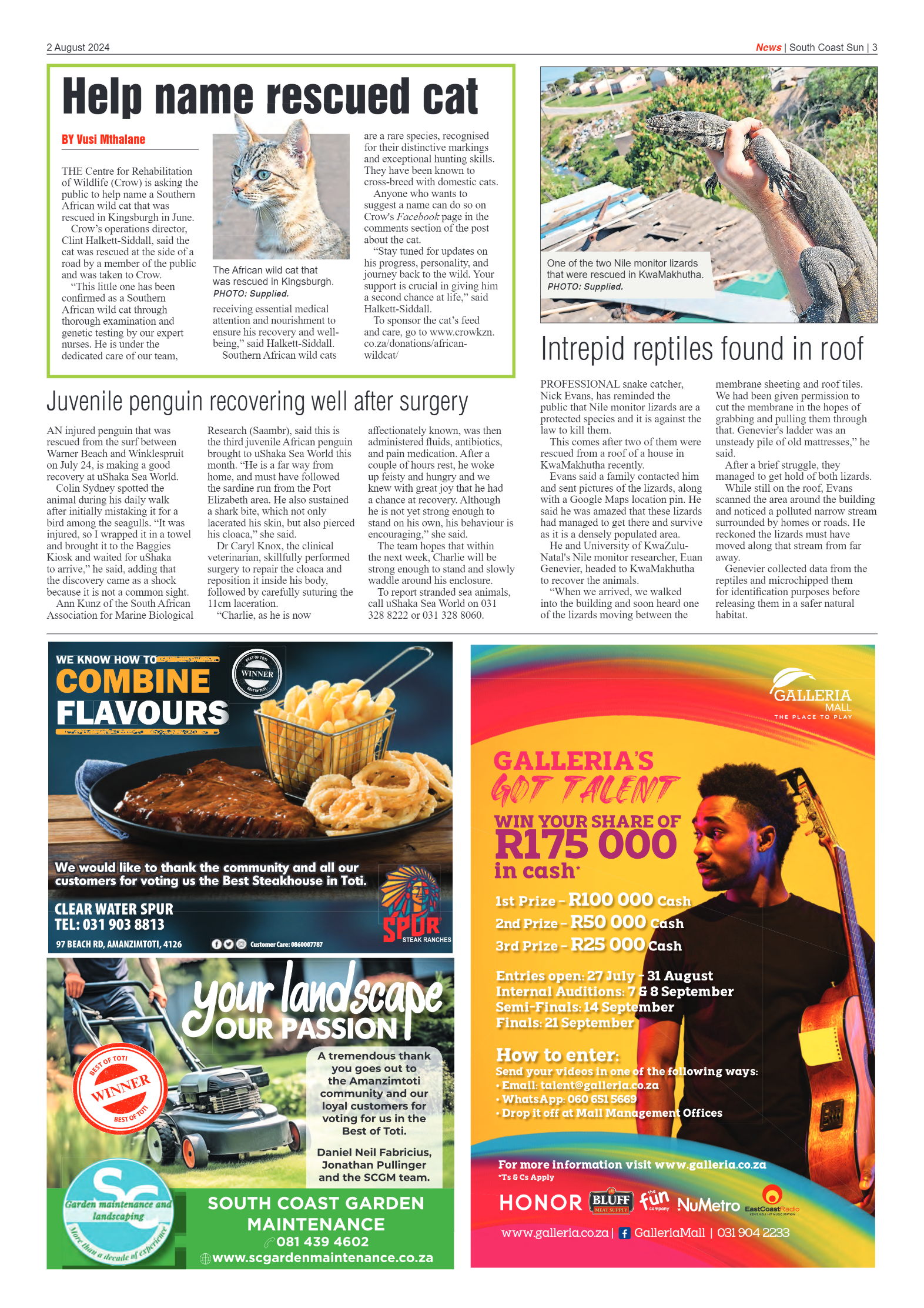 South Coast Sun 2 August 2024 page 3