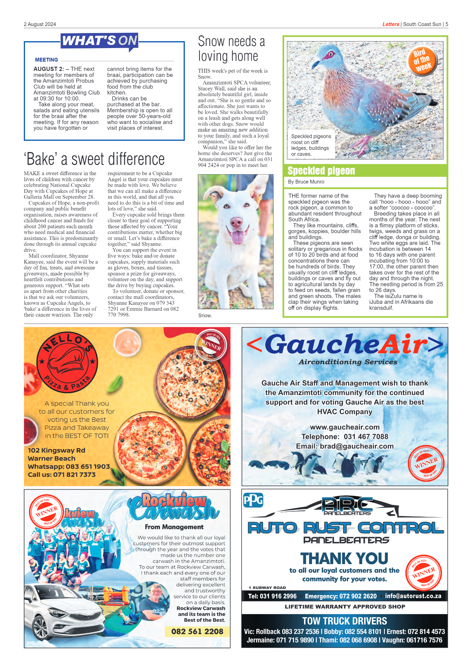 South Coast Sun 2 August 2024 page 5