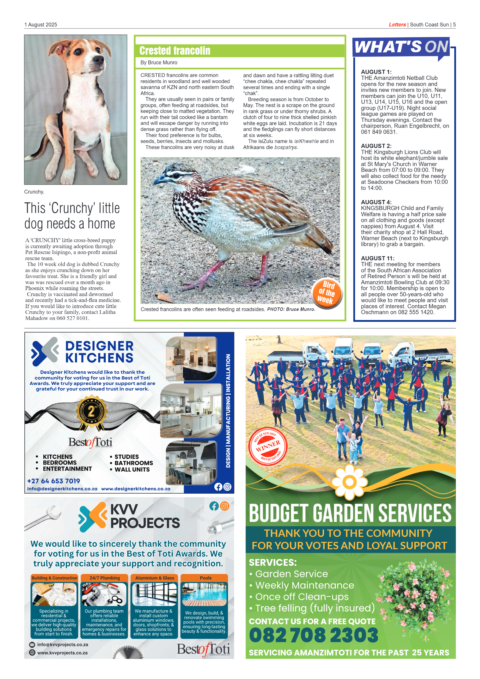 South Coast Sun 01 August 2025 page 5