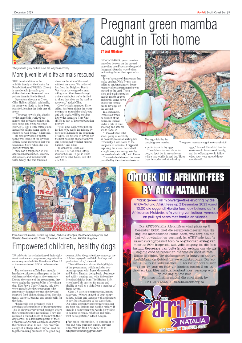 South Coast Sun 01 December 2023 page 5