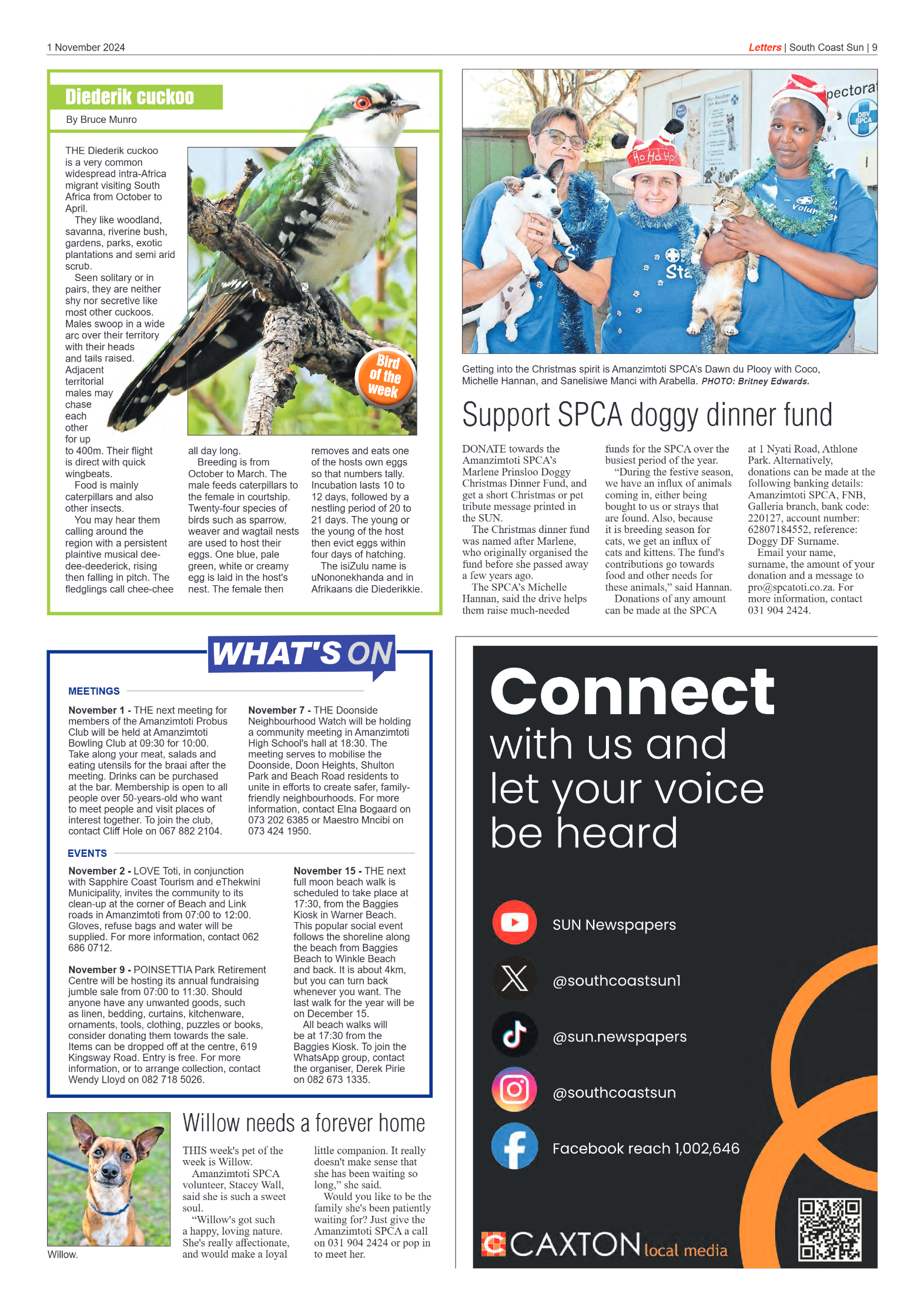 South Coast Sun 01 November 2024 page 9